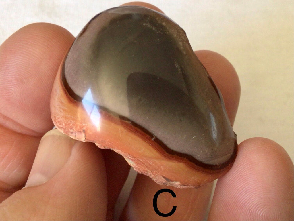 Polychrome Jasper One Side Polished 1C