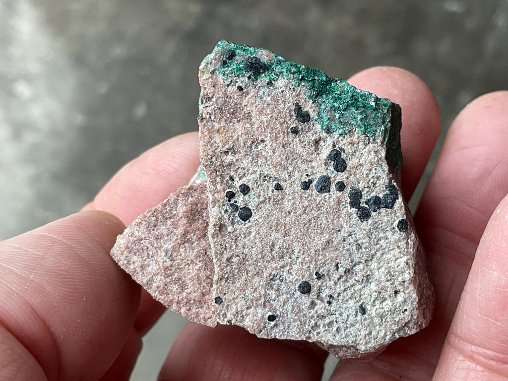 56g Atacamite Specimen 1C from Mt Gunson