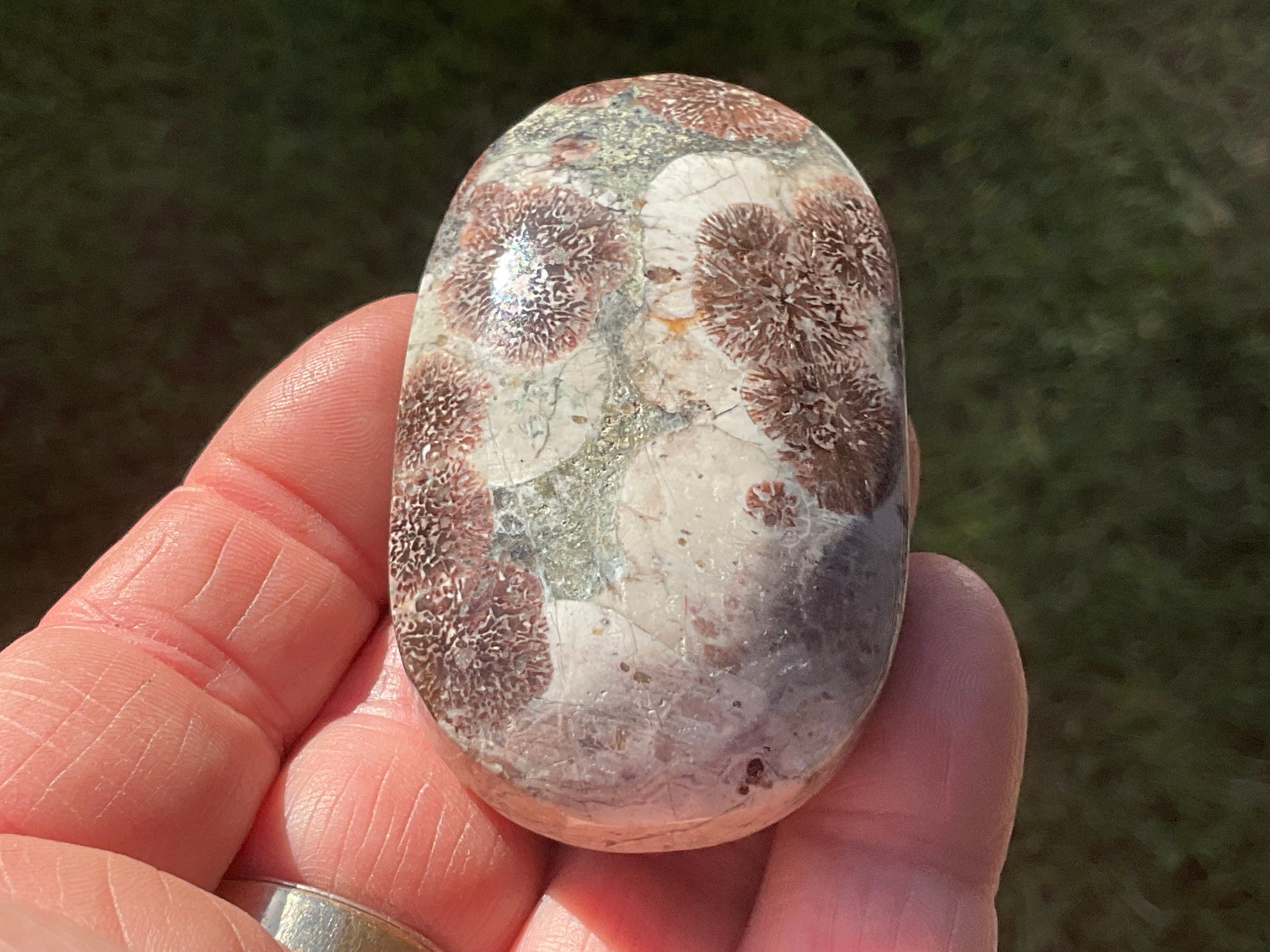 80g Green Cherry Blossom Jasper Palmstone 6C