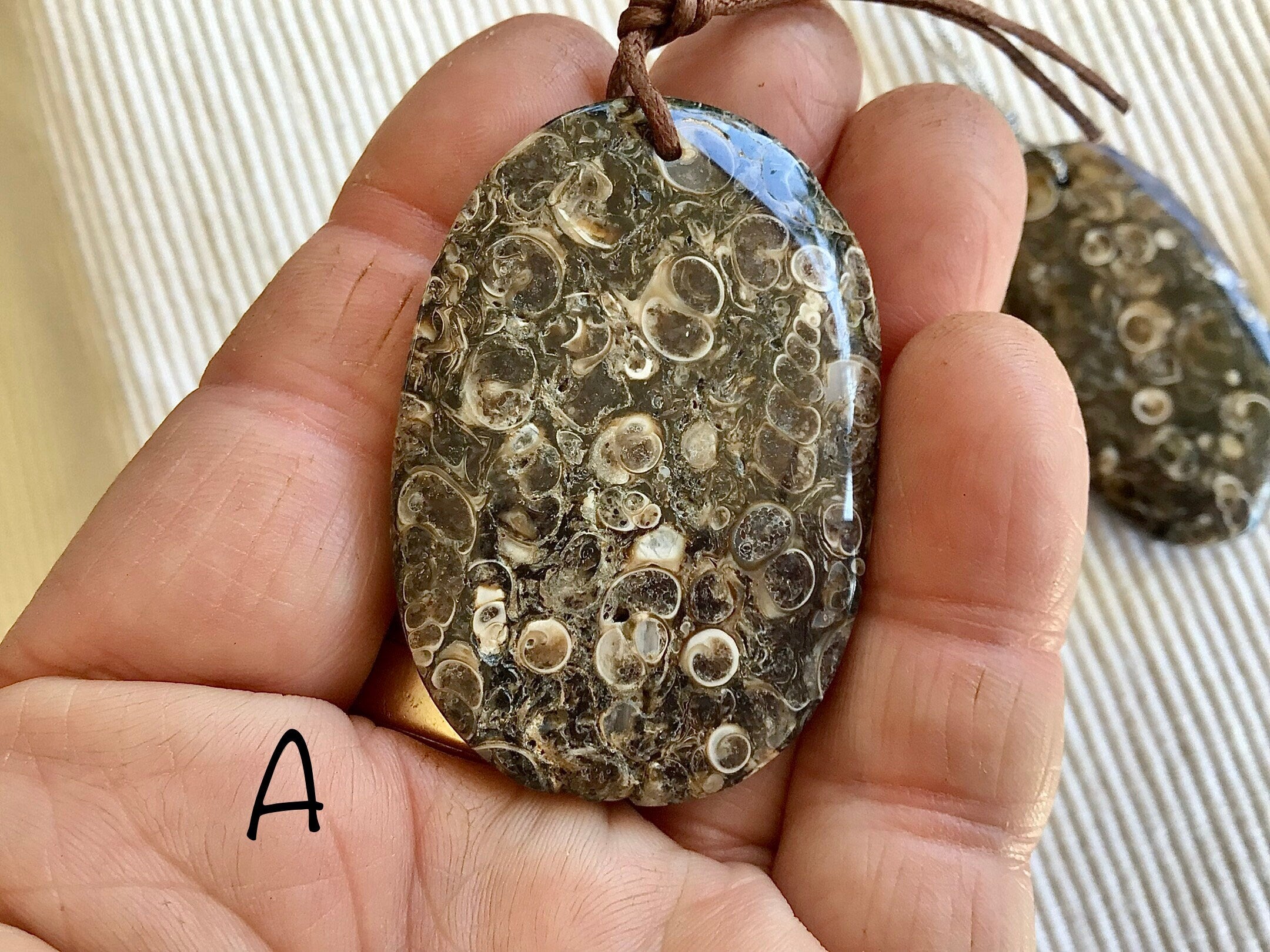 Large Turitella Agate Polished Pendant Group 2
