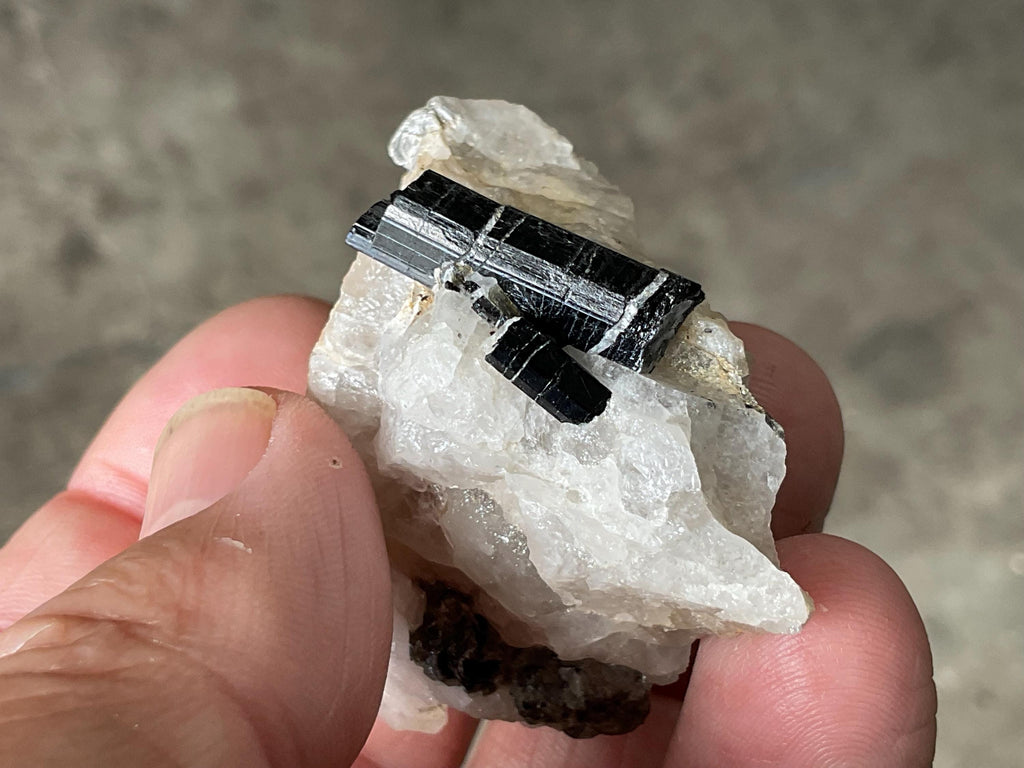 56g Western Australian Black Tourmaline (Schorl) in Quartz with Mica Specimen