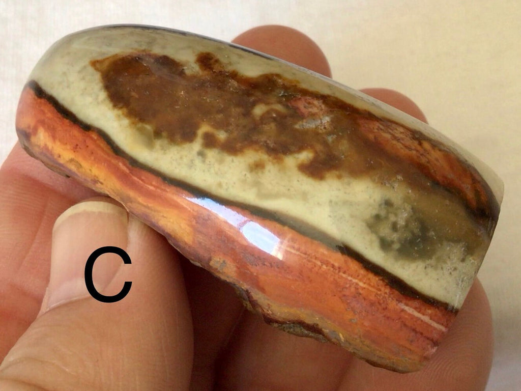 Polychrome Jasper One Side Polished Palmstone Group 9