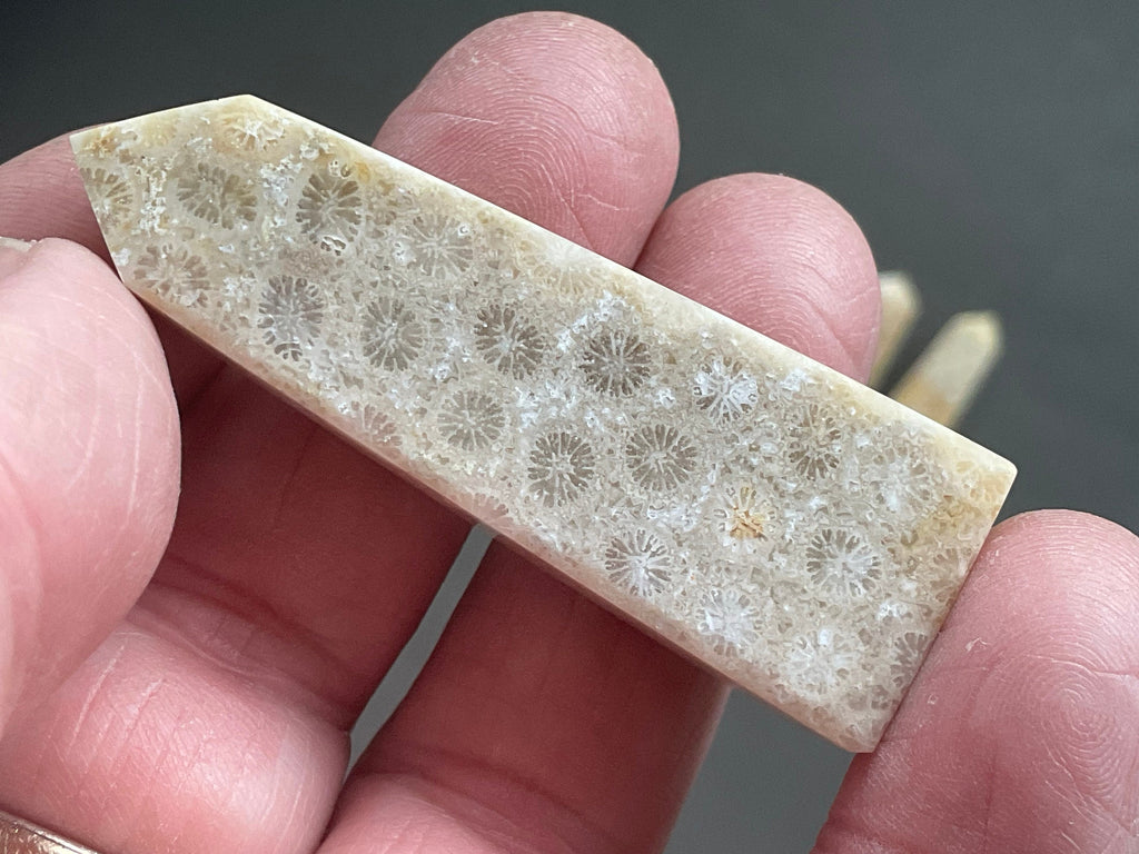 24g Fossilised Coral Generator 1A