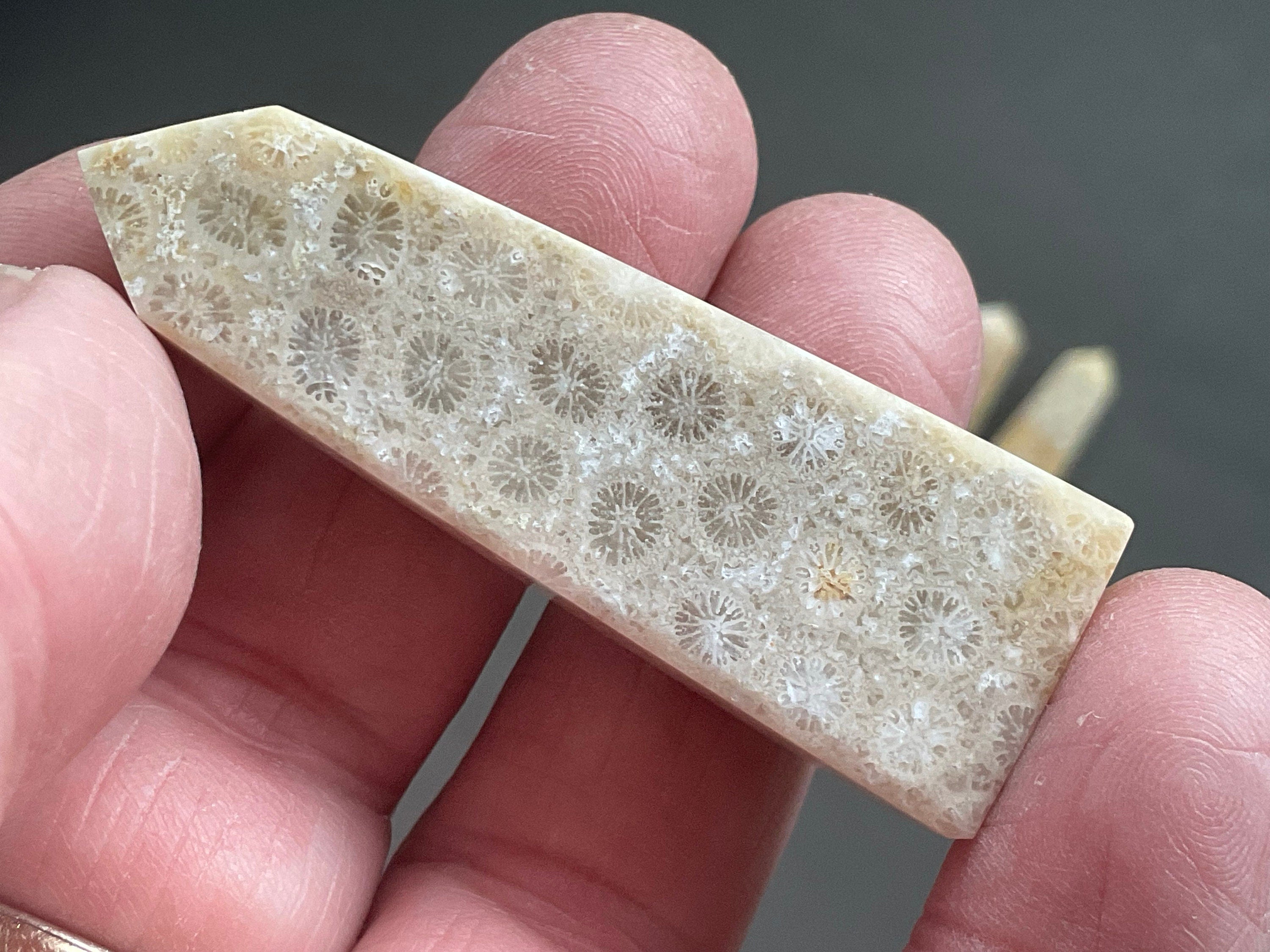 24g Fossilised Coral Generator 1A