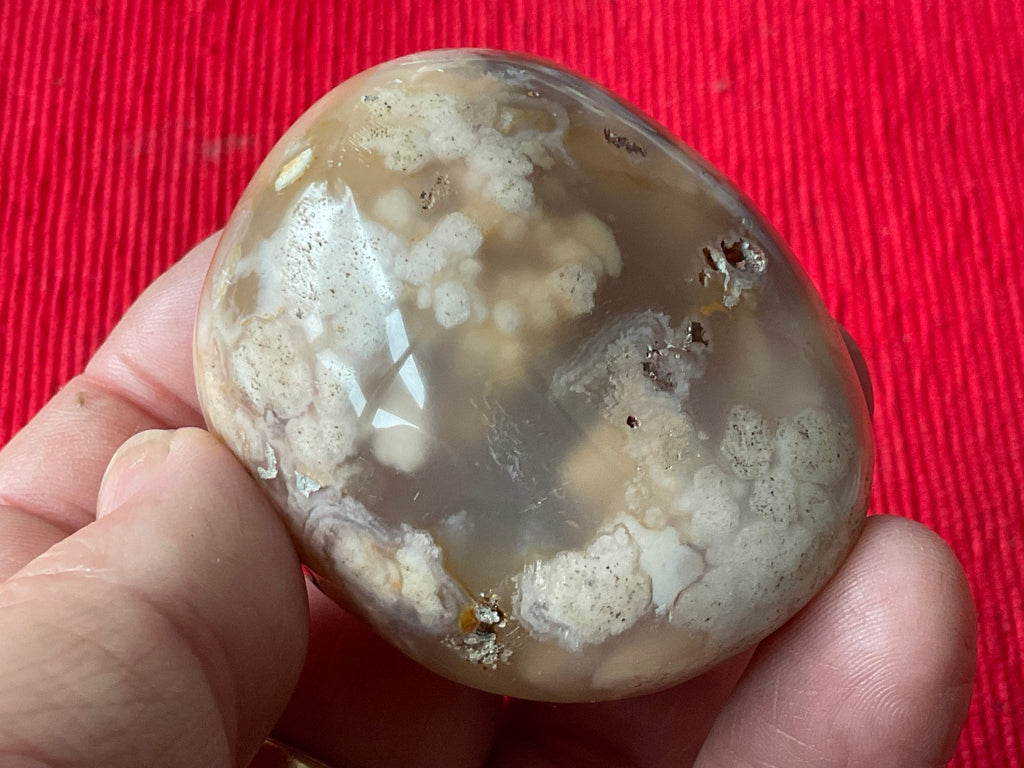 122g Flower Agate Palmstone 9B