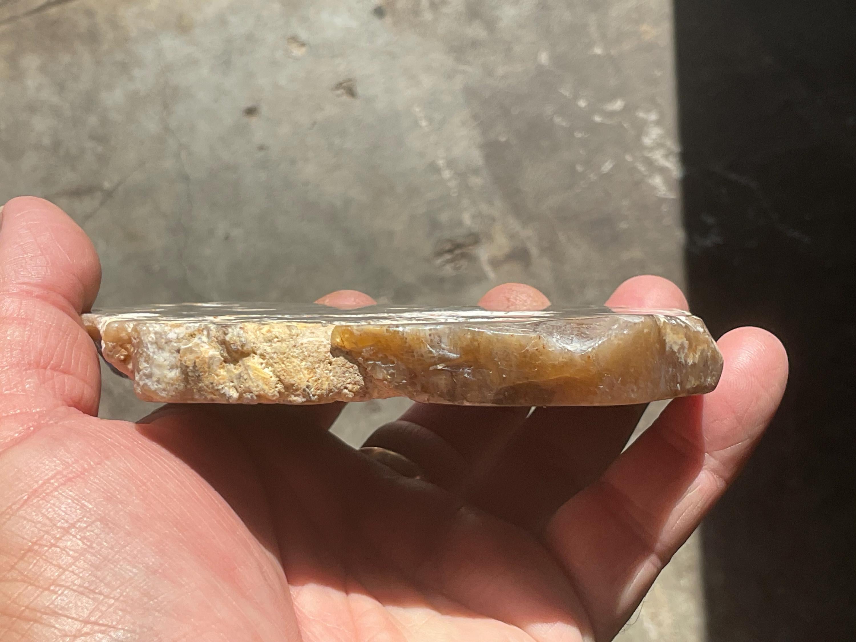 234g Fossilized/Agatised Coral Slab 3B