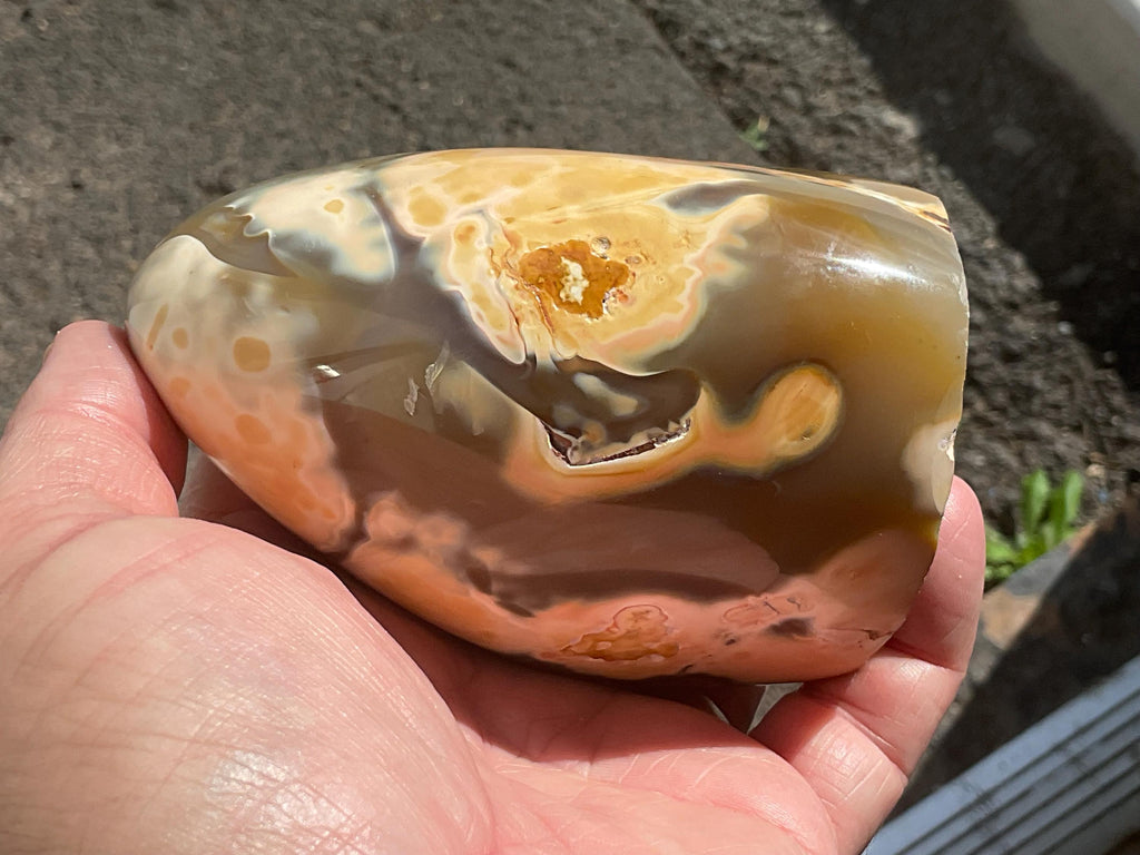 606g Orca Agate Freeform B