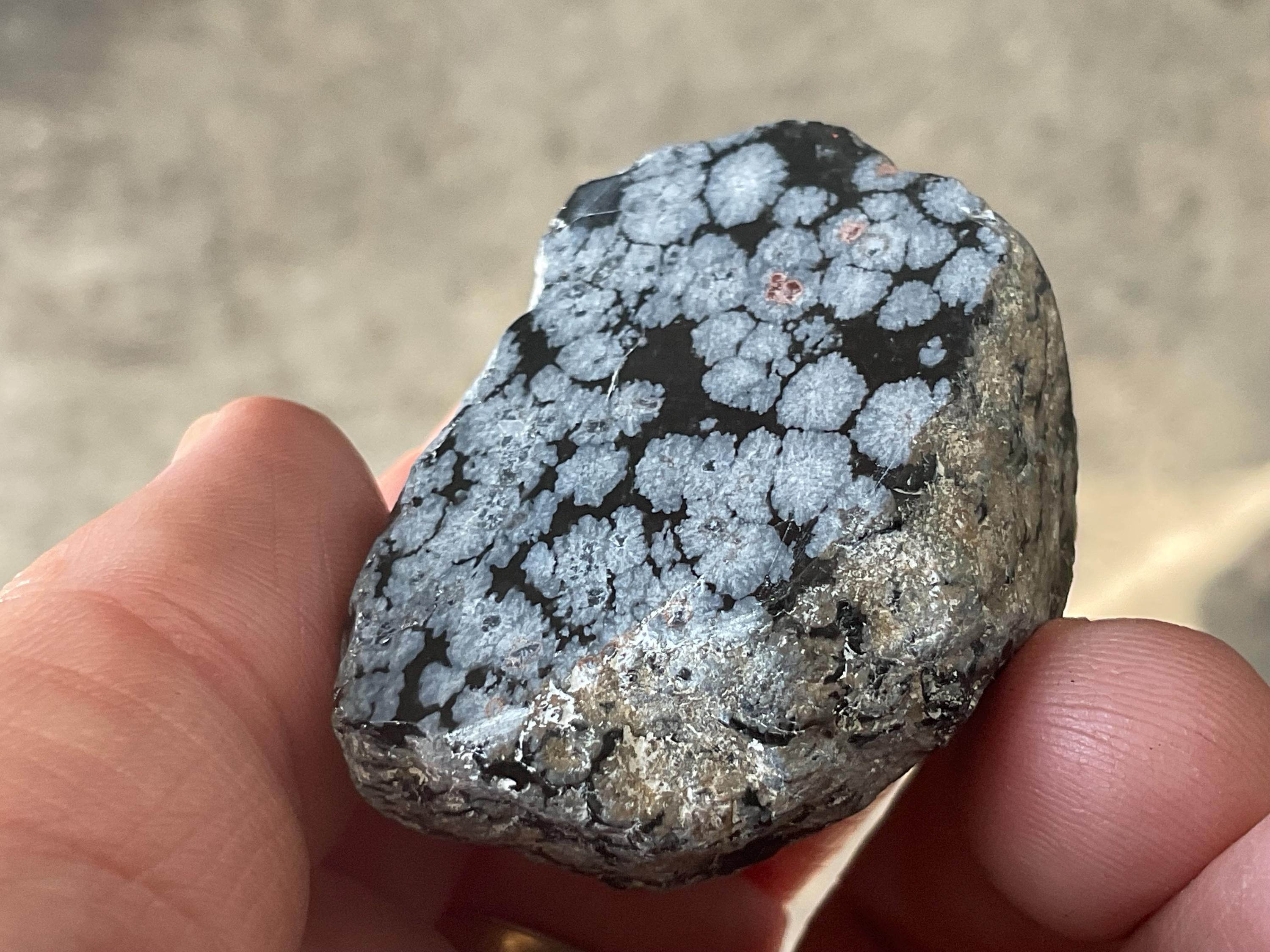 52g Snowflake Obsidian One Side Polished Piece A