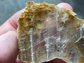40g “Garden Selenite” Specimen 2A