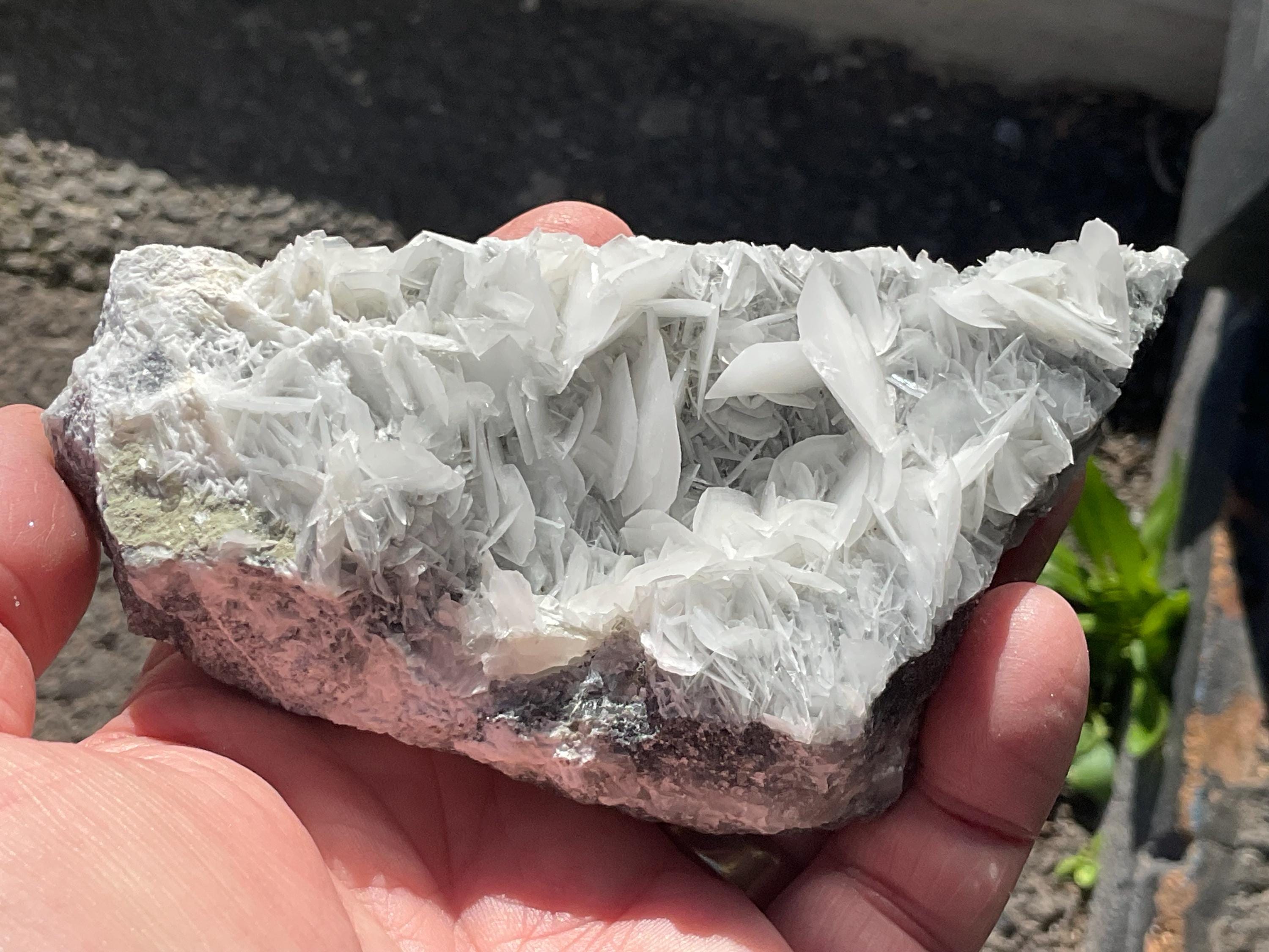 206g UV Reactive “Angel Wing” Calcite Specimen 1C