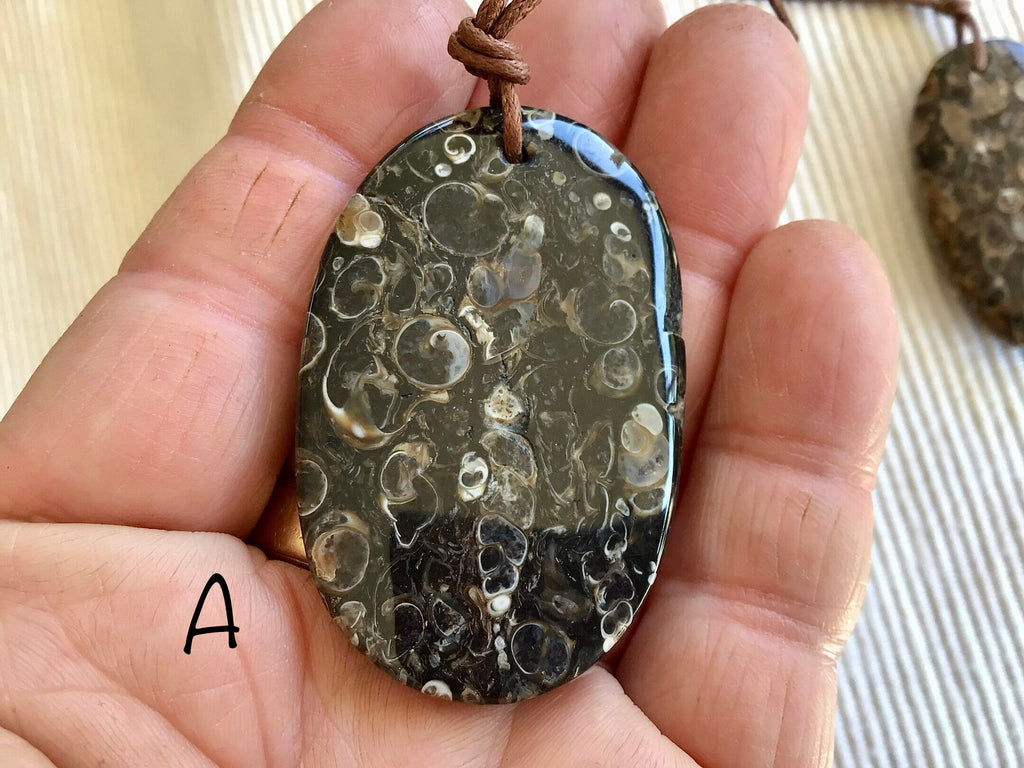 Large Turitella Agate Polished Pendant 1A