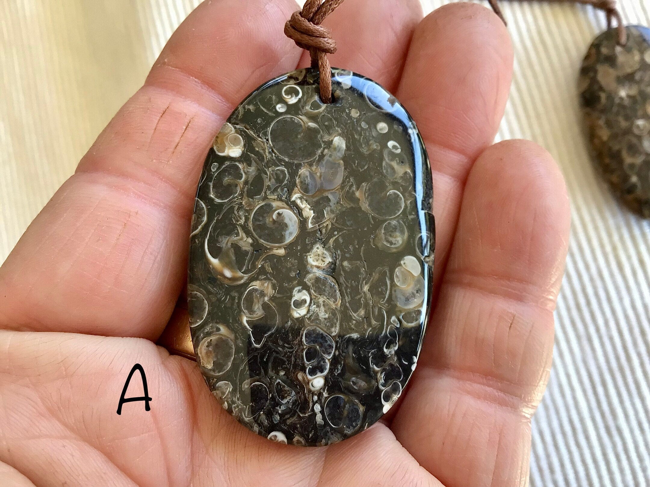 Large Turitella Agate Polished Pendant 1A