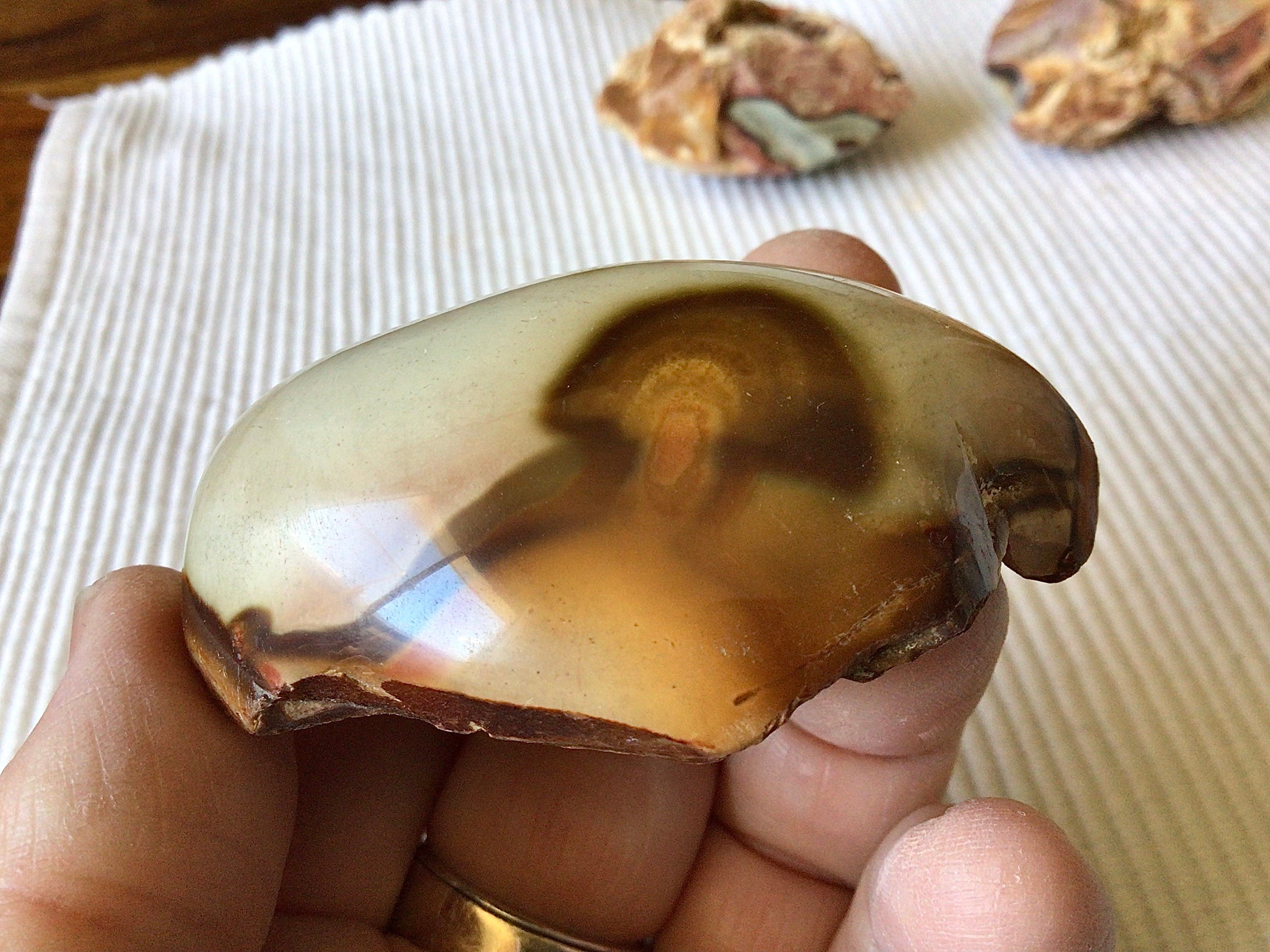 73g Polychrome Jasper One Side Polished 13B
