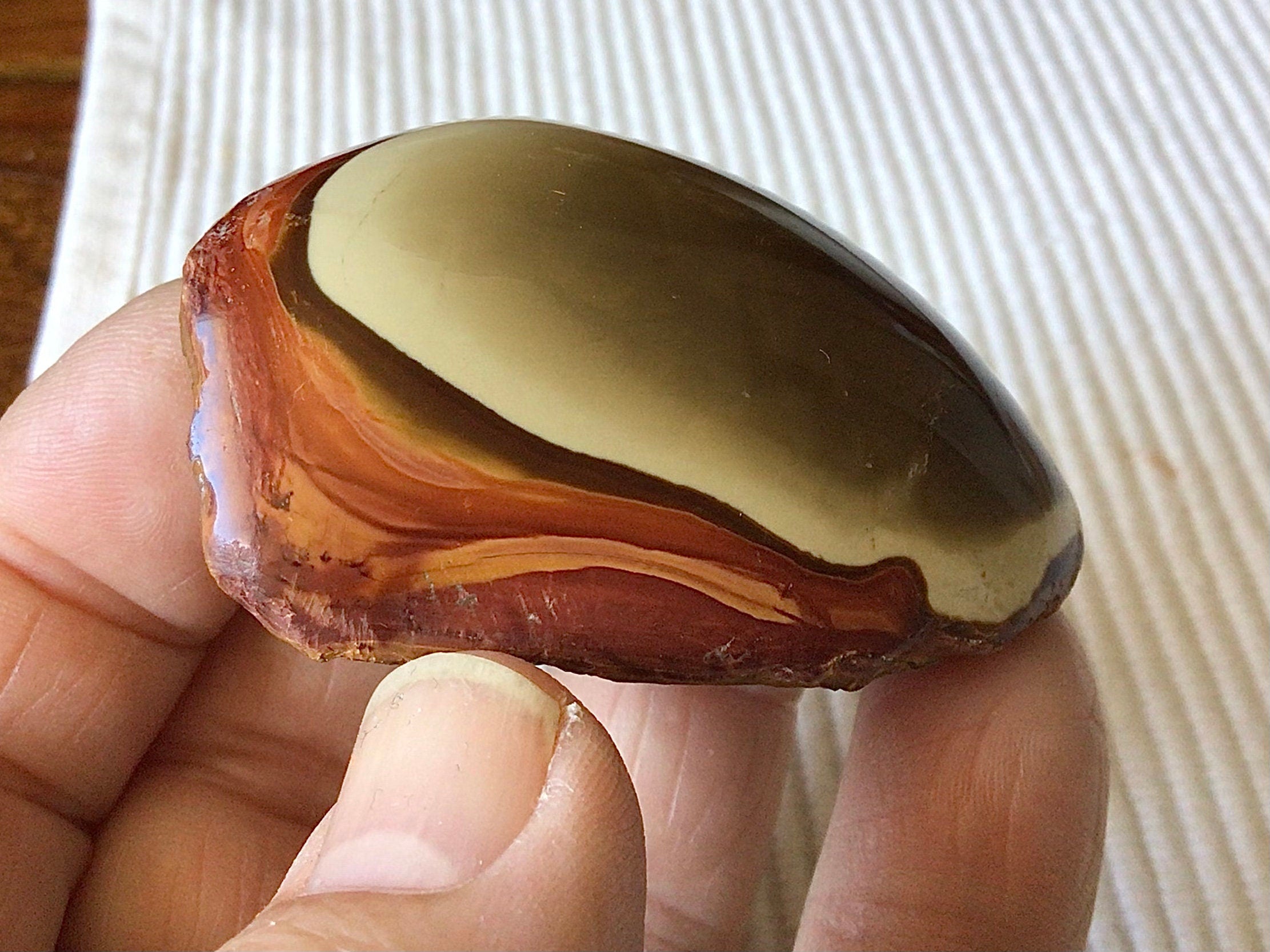 63g Polychrome Jasper One Side Polished 11A