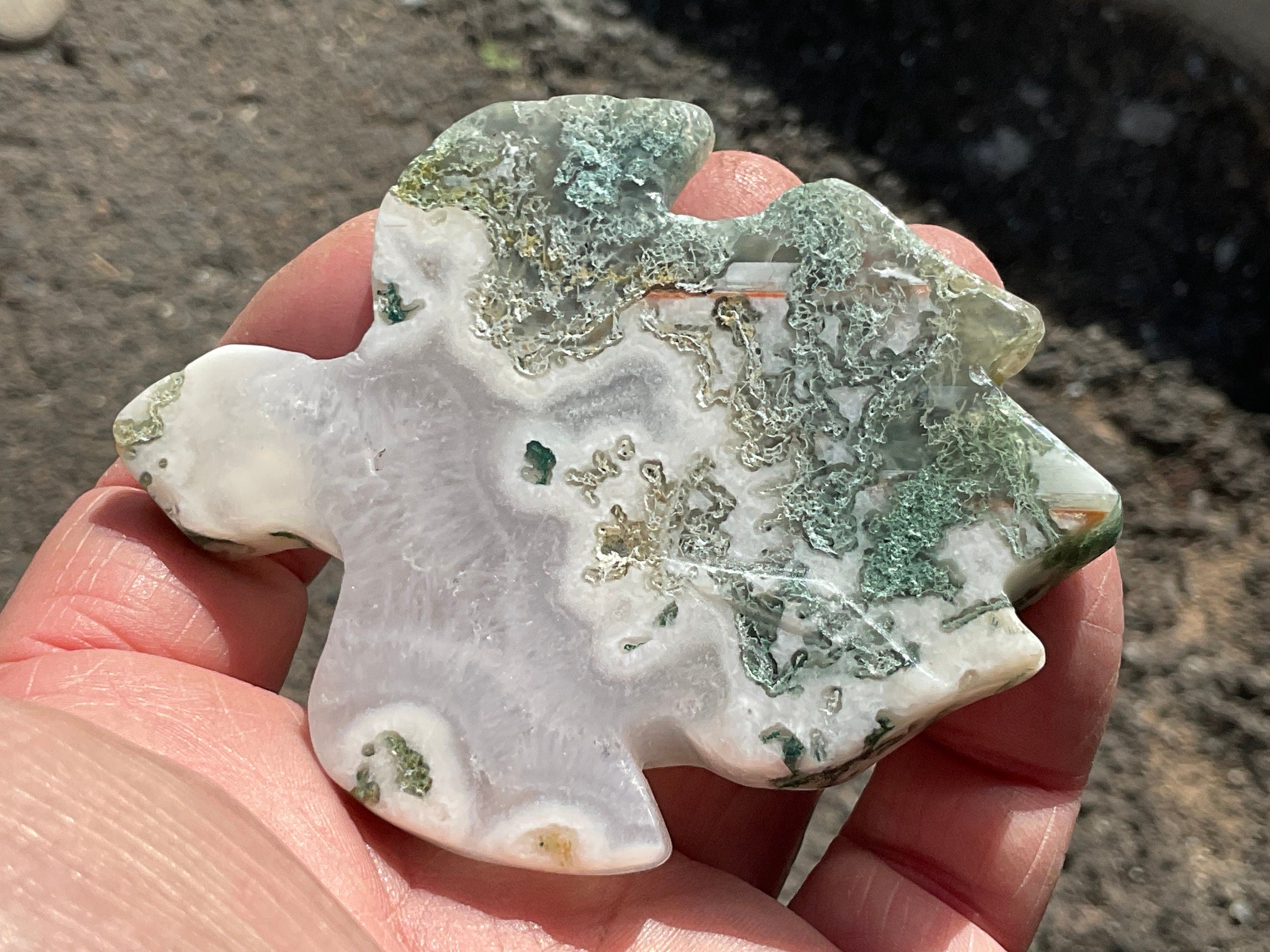 112g Moss Agate Turtle 1C