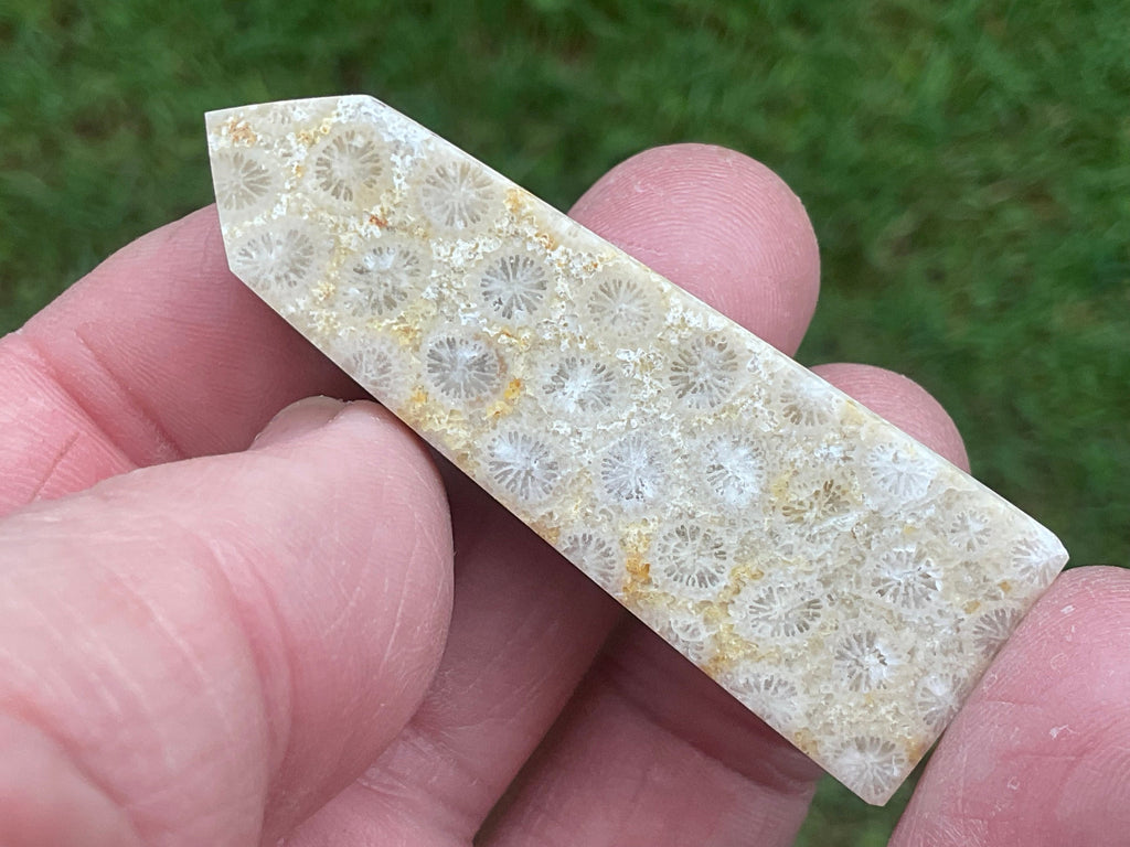 24g Fossilised Coral Generator 1A