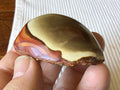 63g Polychrome Jasper One Side Polished 11A