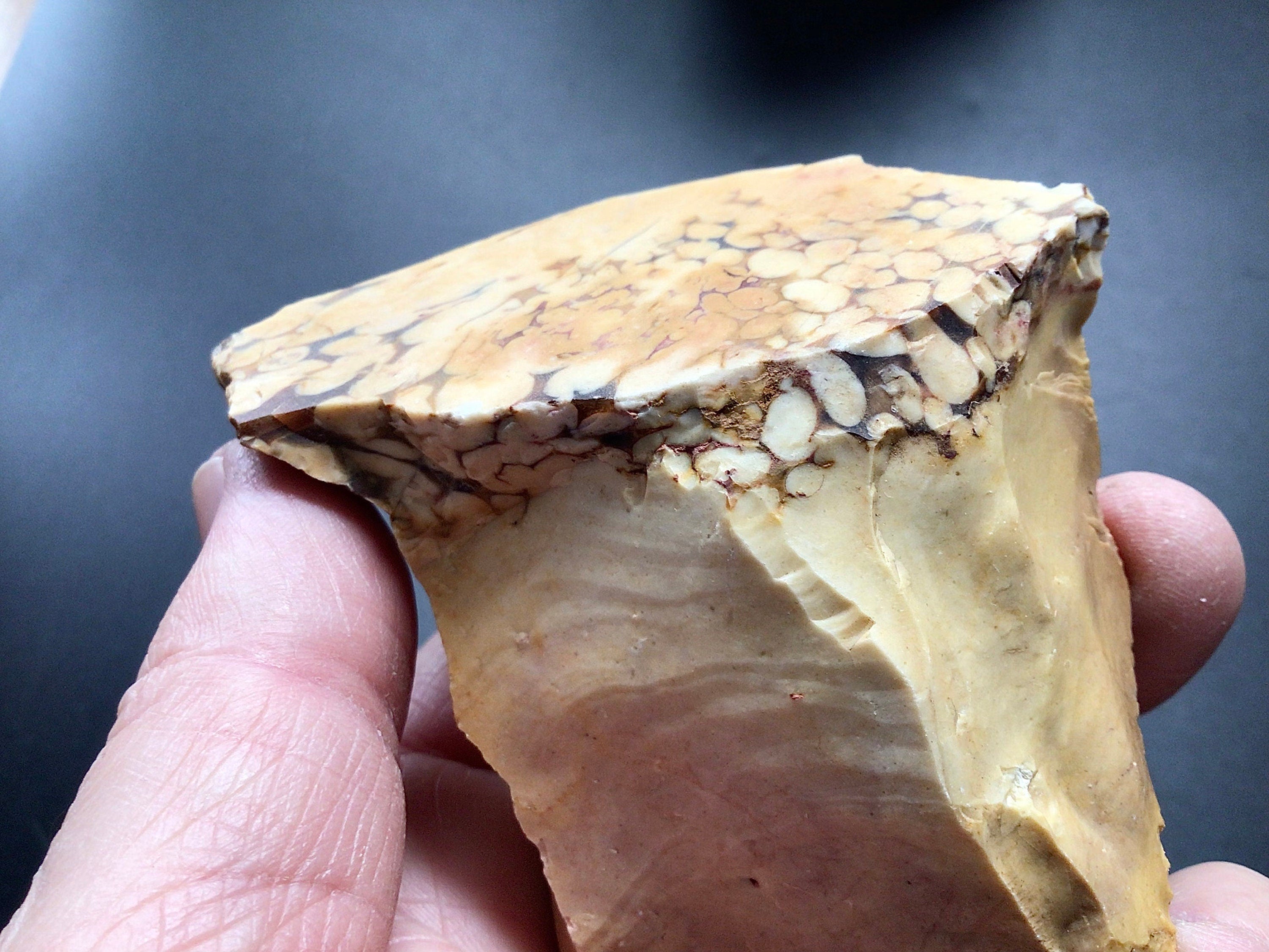 214g Sliced Western Australian Peanut Wood 12A