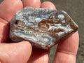 46g Mexican Crazy Lace Agate Freeform 17A