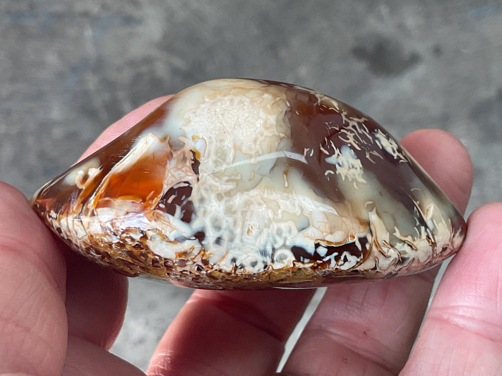 132g Carnelian Orca Agate Palmstone 4C