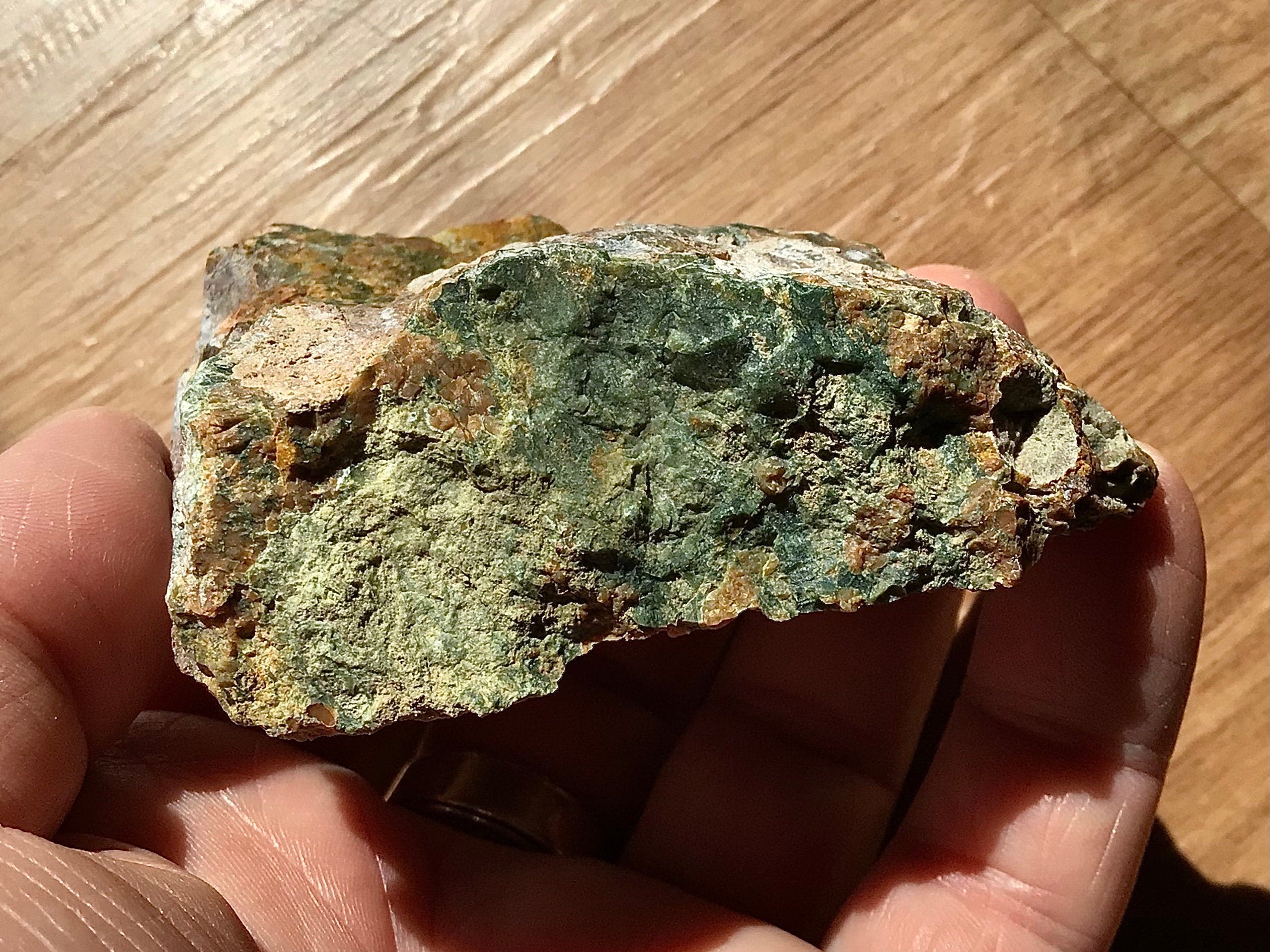 139g Mt Hay Rainforest Jasper Rough 4C