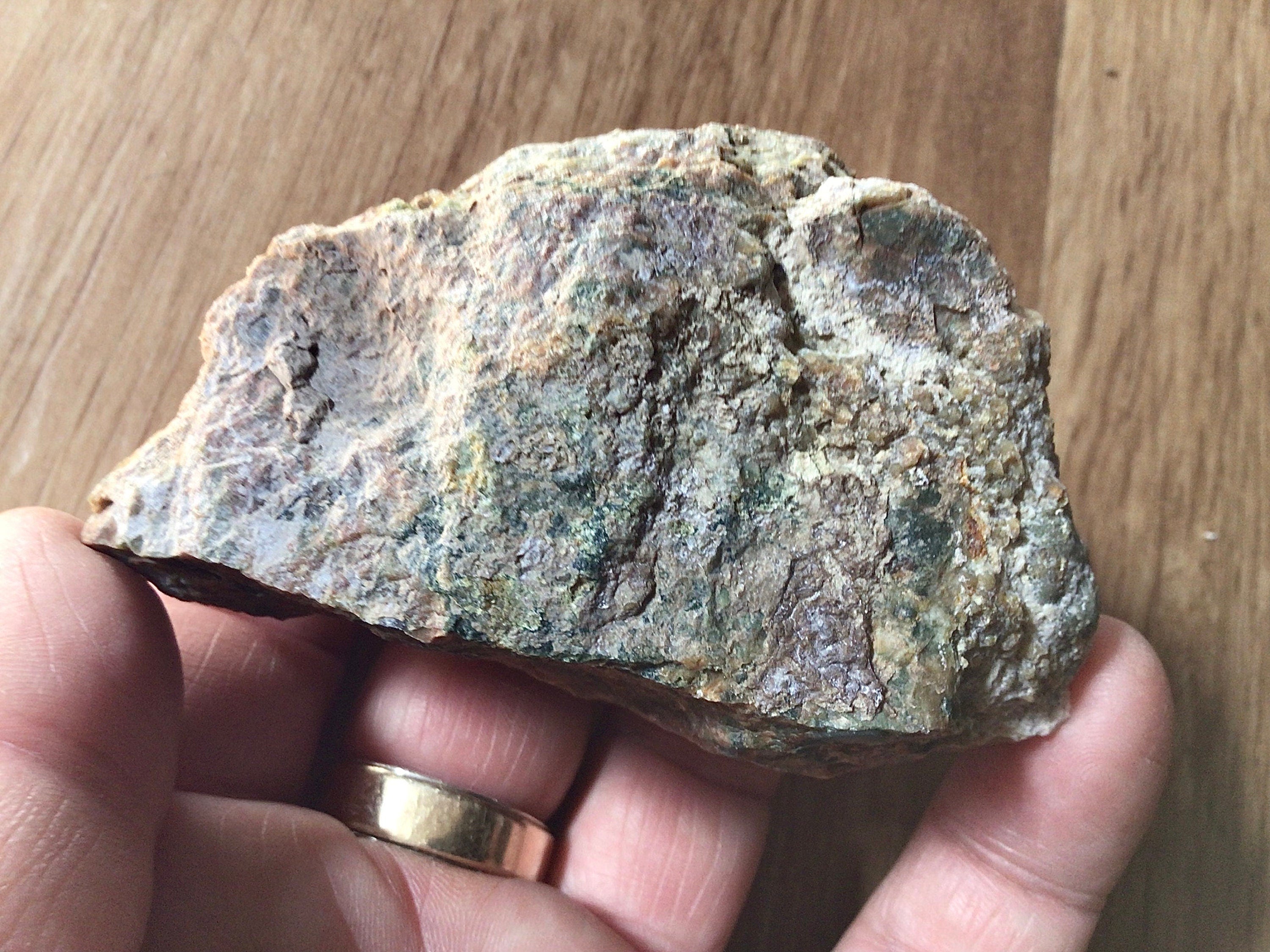 164g Mt Hay Rainforest Jasper Rough 4B