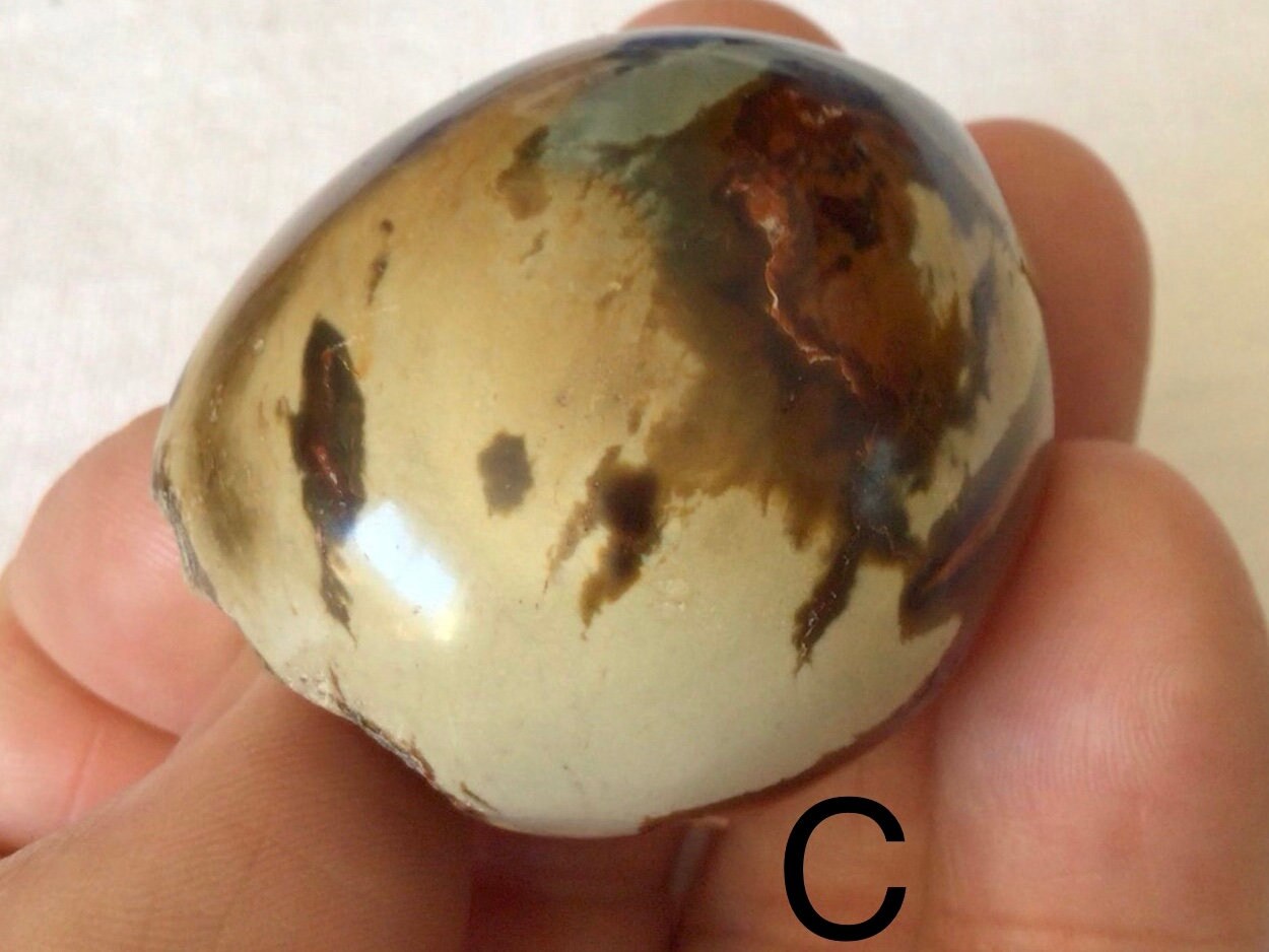 Polychrome Jasper One Side Polished Group 6