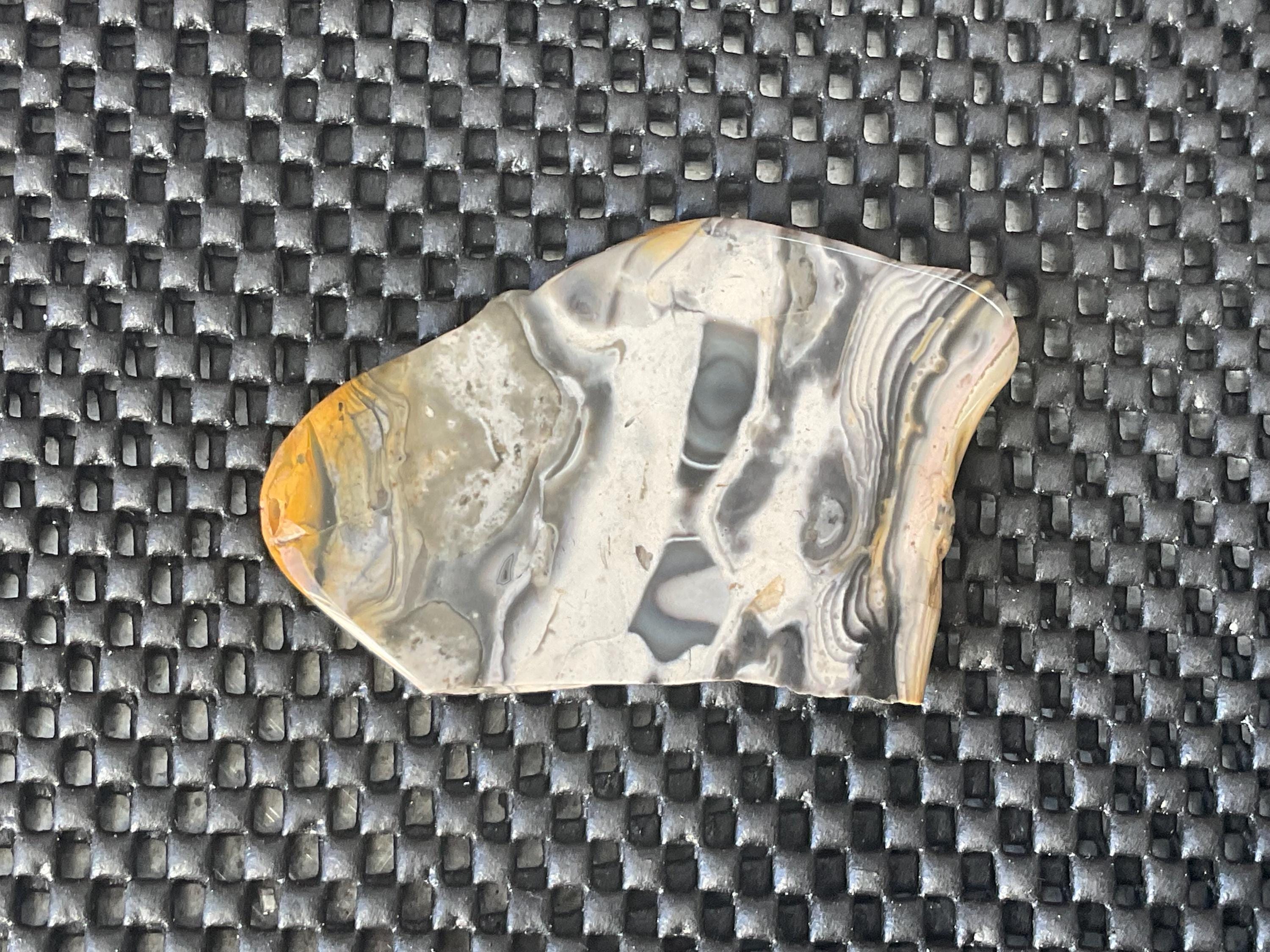 44g Polished Stromatolite Slice from Western Australia