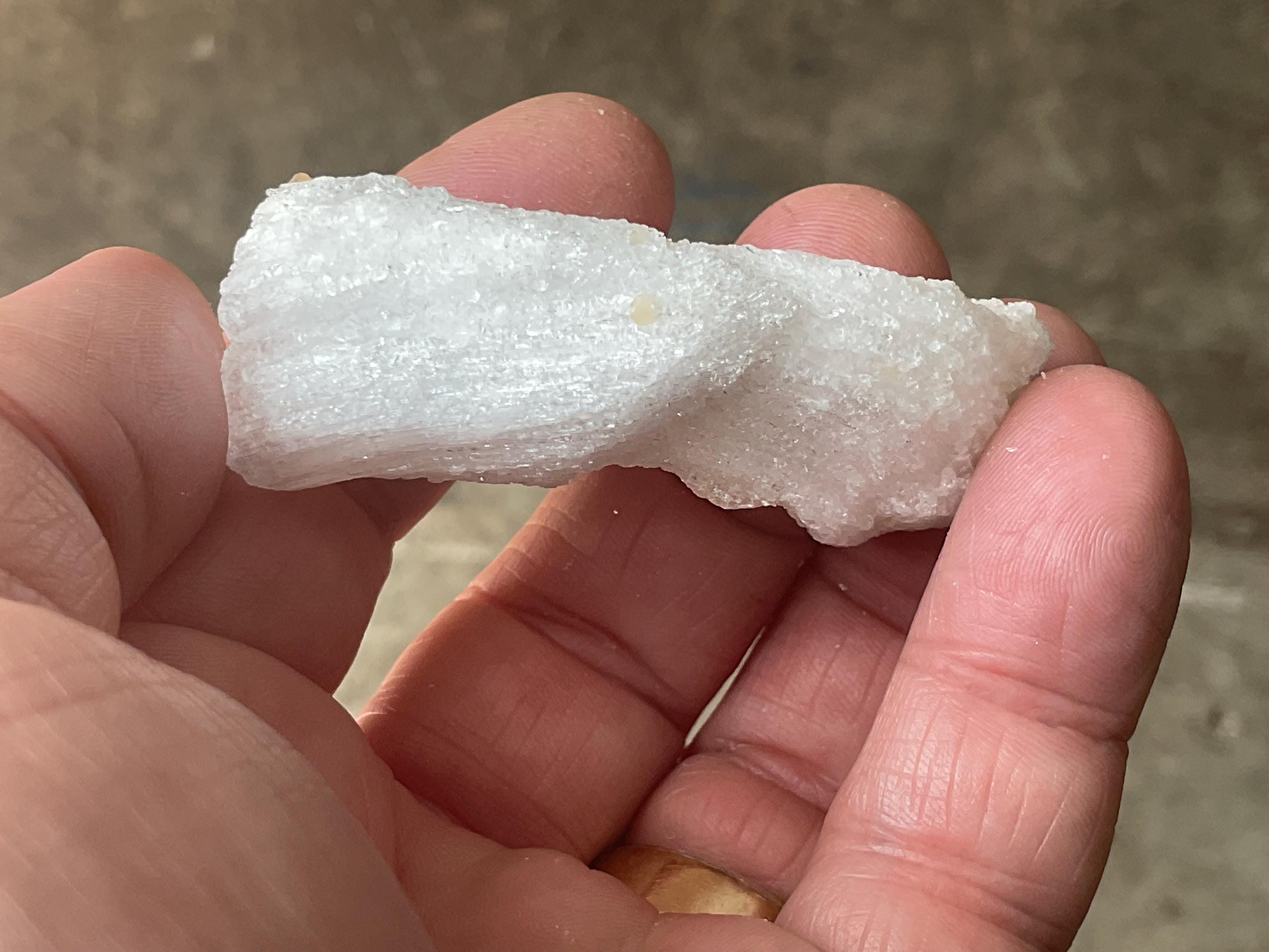 32g Rams Horn Selenite Specimen 6B