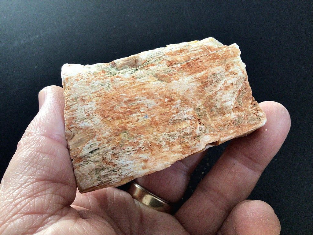 149g Natural Opalised Wood Rough Piece 5C