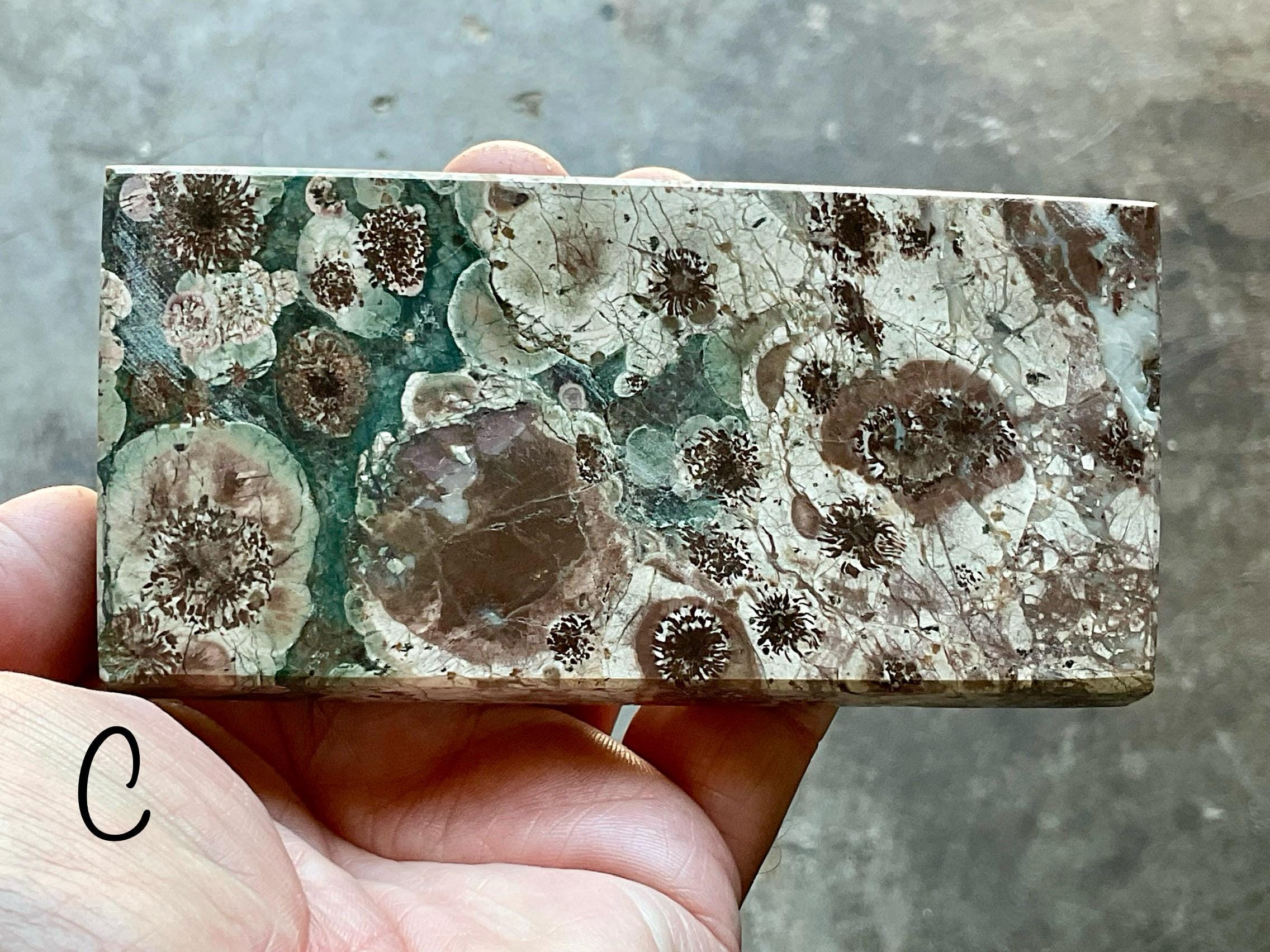 Green Cherry Blossom Jasper Polished Slabs Group 4