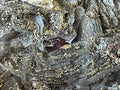 108g Pyrite encrusted Calcite on Limonite Quartz Specimen 2B from Fujian, China