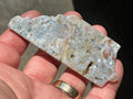 28g Ocean Jasper Polished Slab 3A