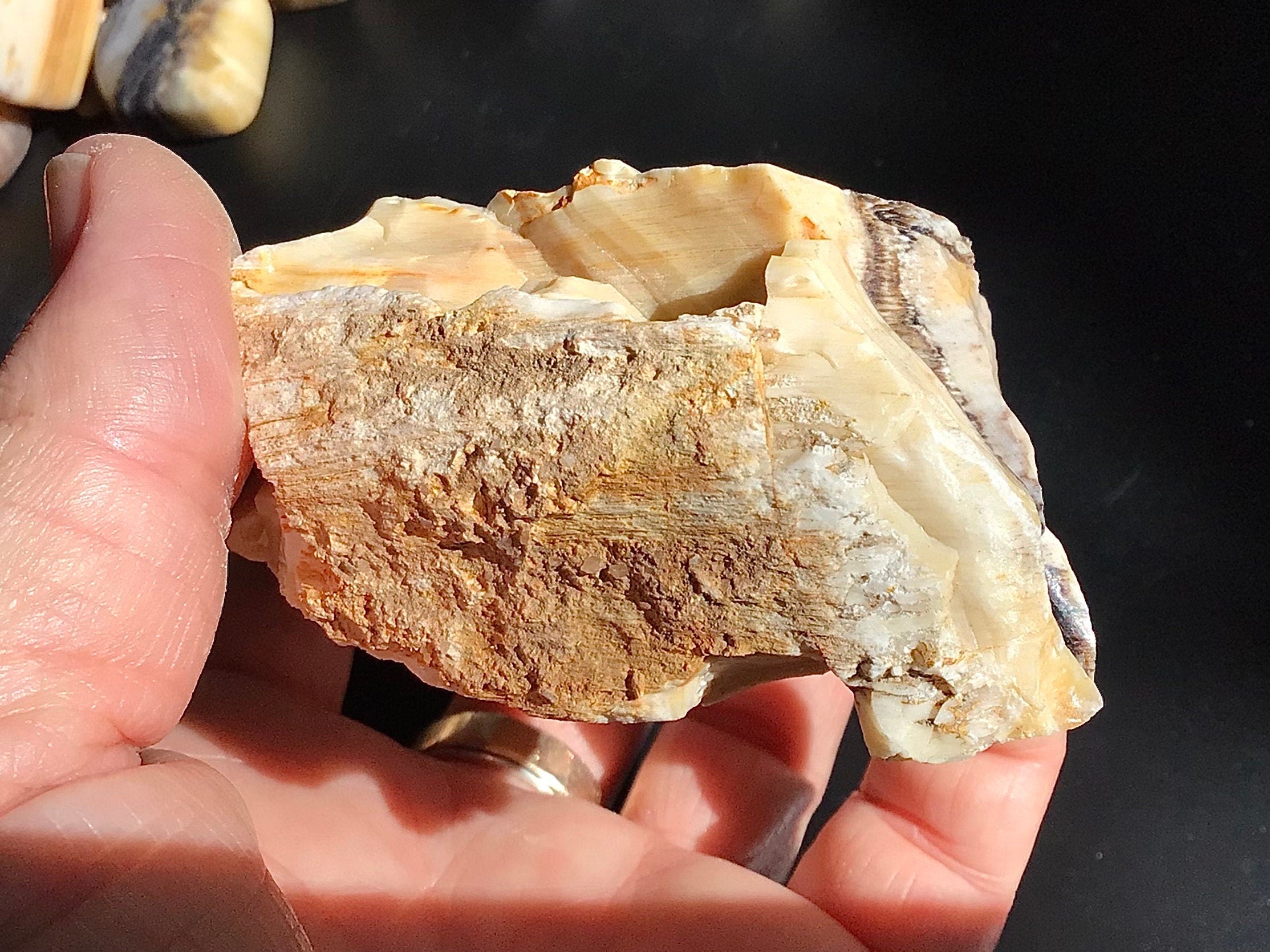 224g Natural Opalised Wood Rough Piece 7C