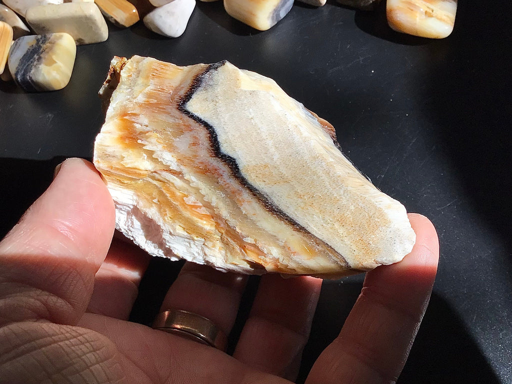 161g Natural Opalised Wood Rough Piece 6B