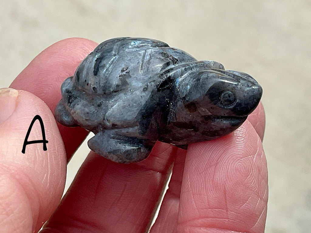 Larvikite Small Turtle Group 1