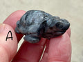 Larvikite Small Turtle Group 1