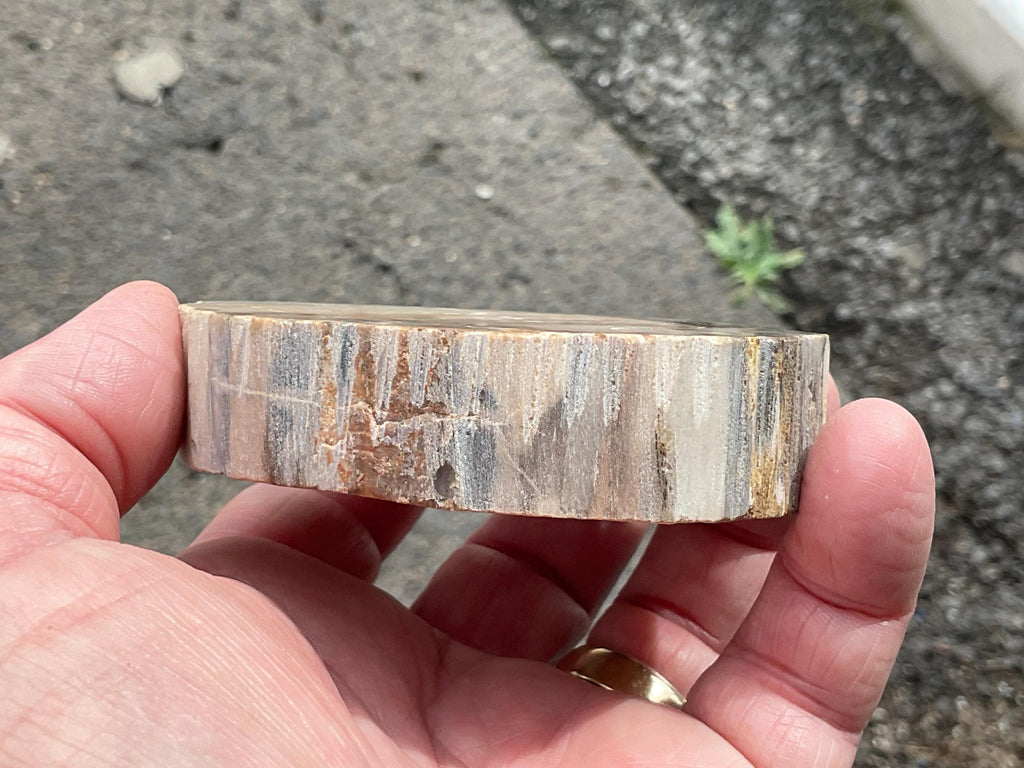 192g Indonesian Petrified Wood Polished Slab 1C