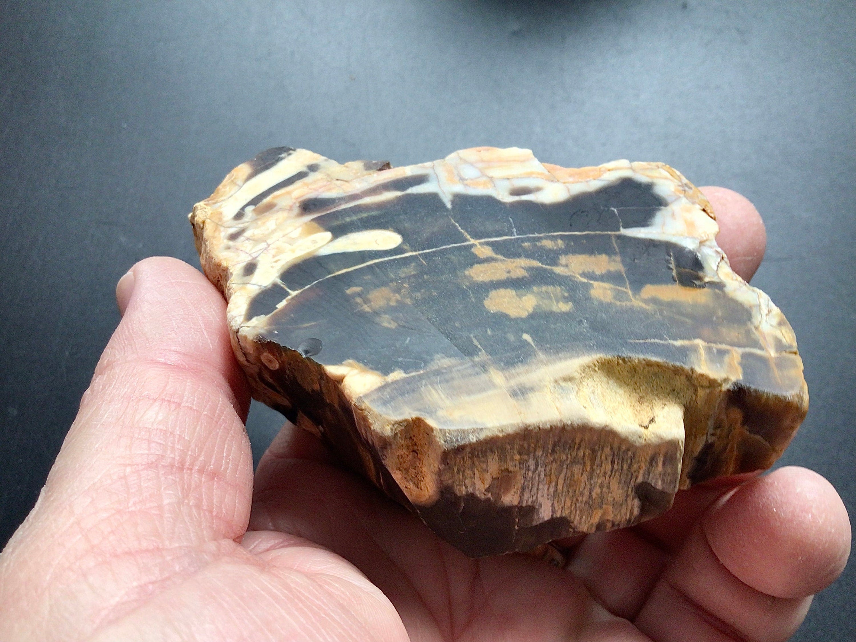 171g Sliced Western Australian Peanut Wood 10C