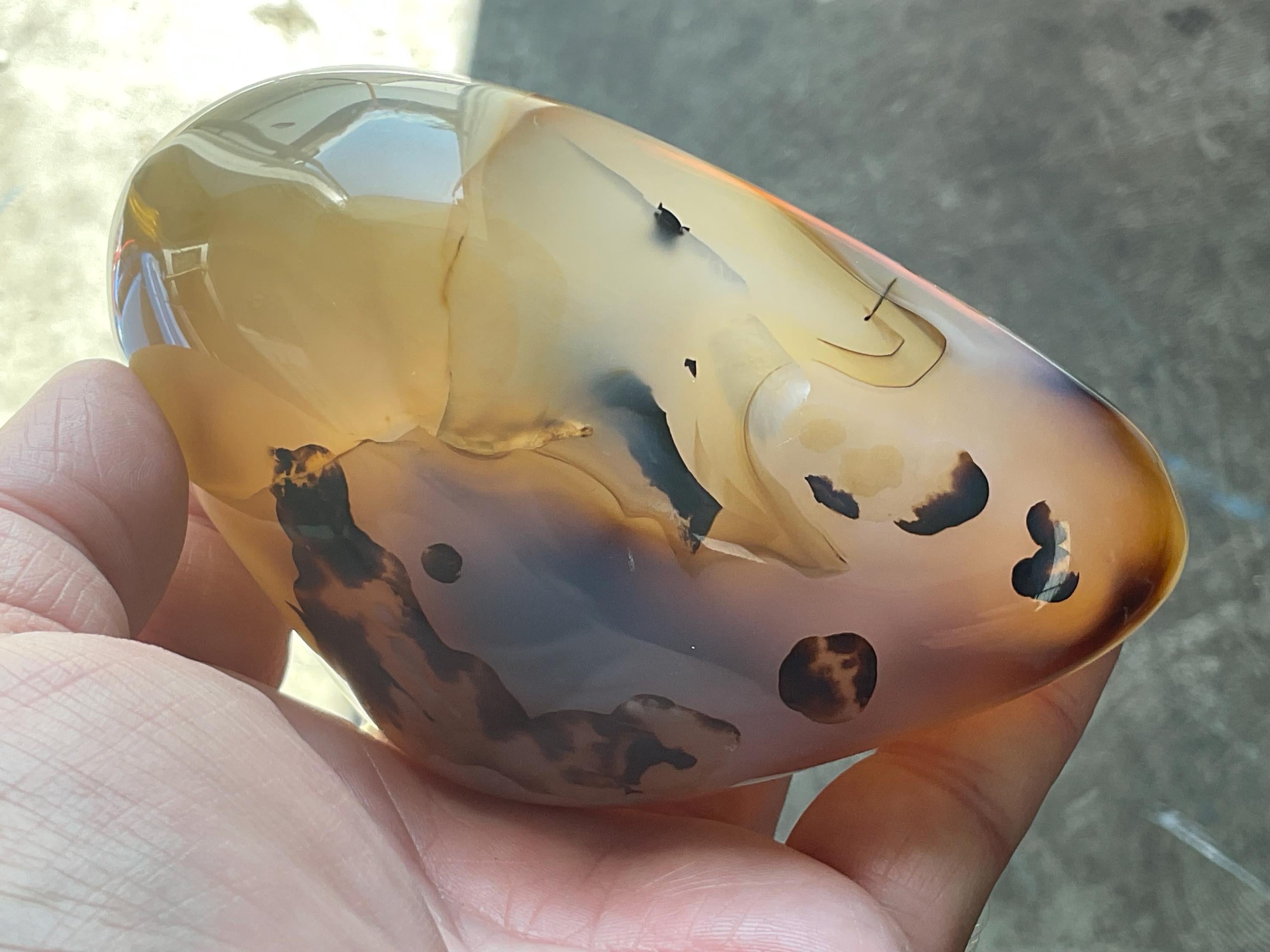 540g Dendritic Agate Freeform