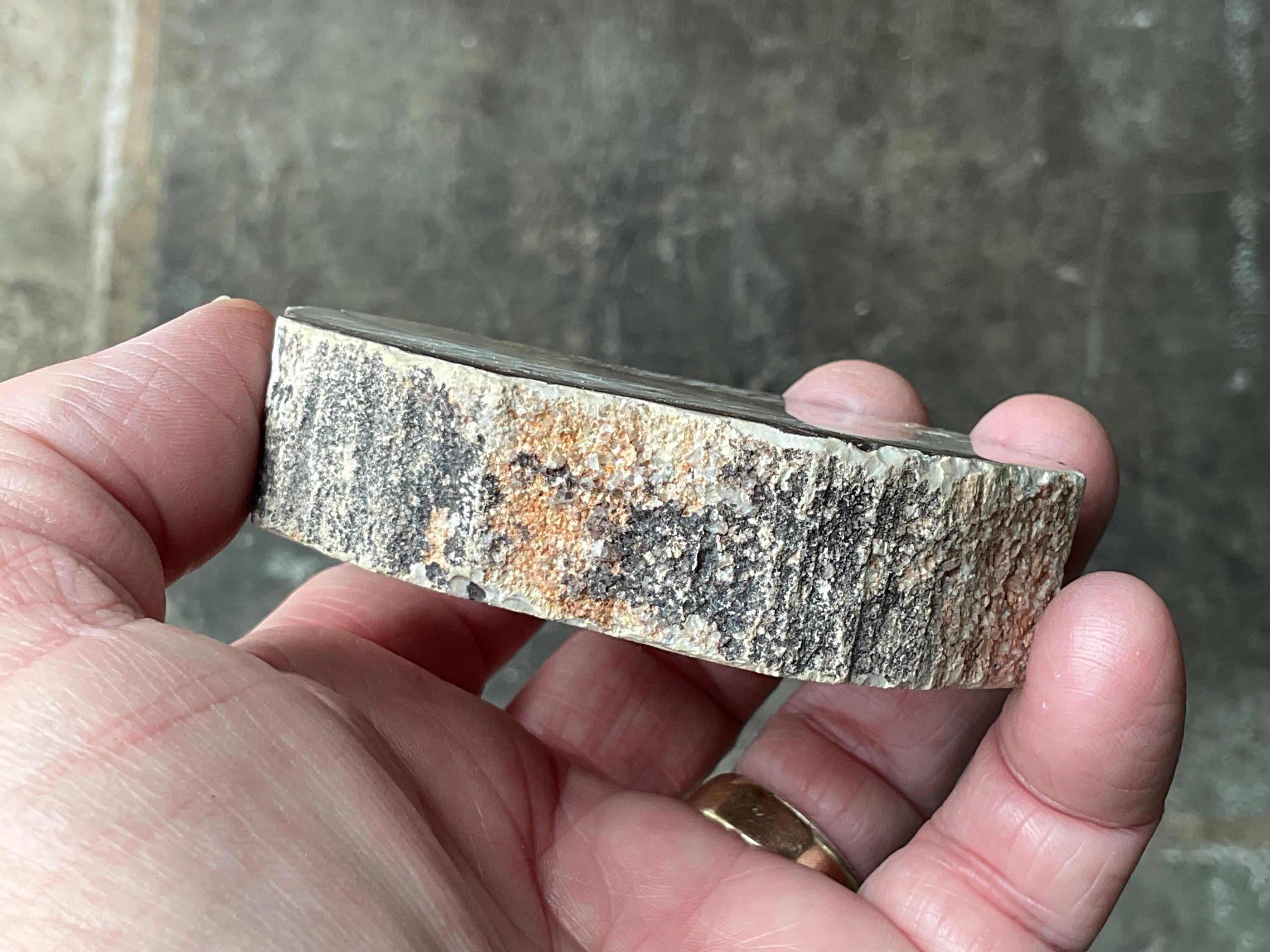 192g Indonesian Petrified Wood Polished Slab 1C