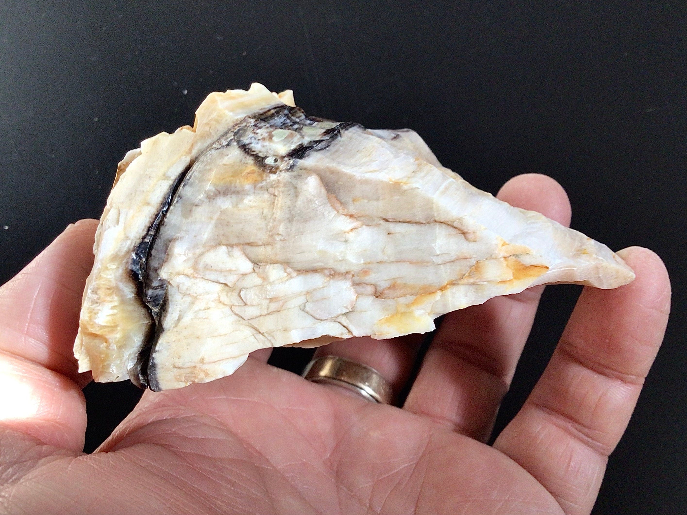 224g Natural Opalised Wood Rough Piece 7C