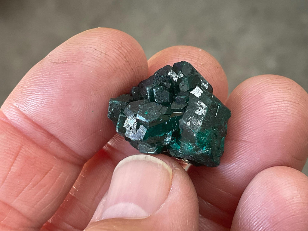 6g Congolese Dioptase Specimen 5C