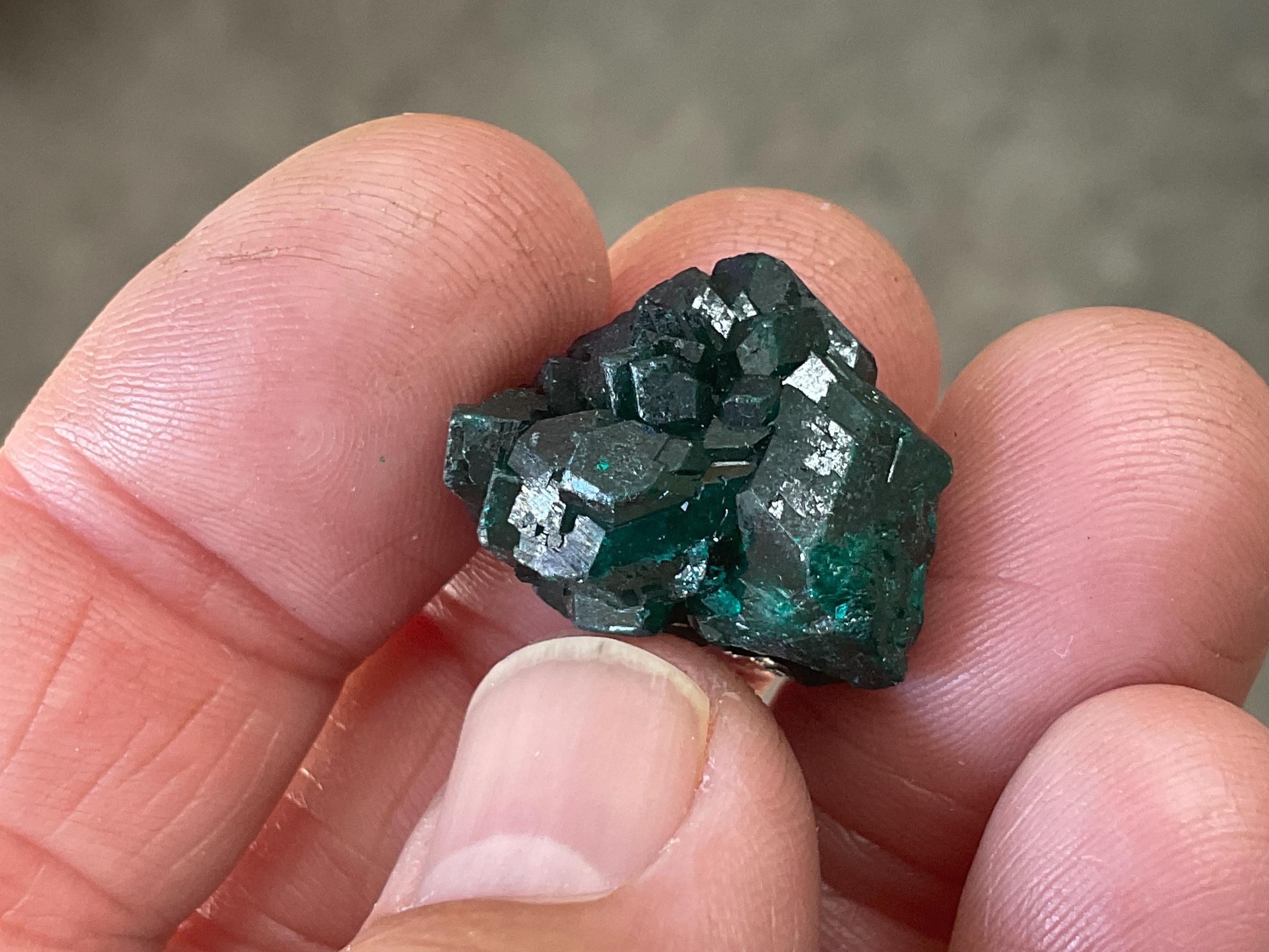 6g Congolese Dioptase Specimen 5C