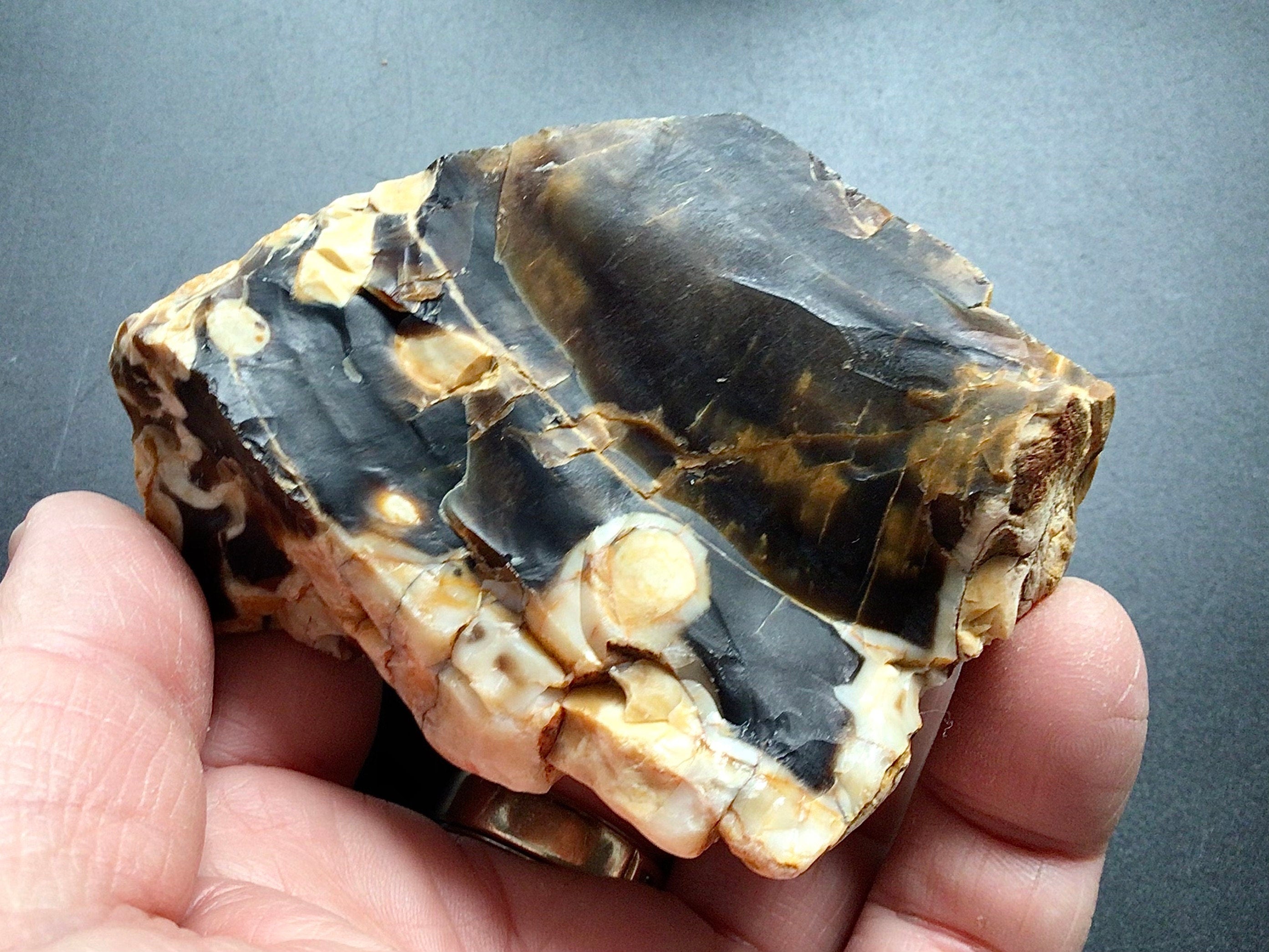 171g Sliced Western Australian Peanut Wood 10C