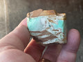 94g Sliced Western Australian Variscite Piece 1A