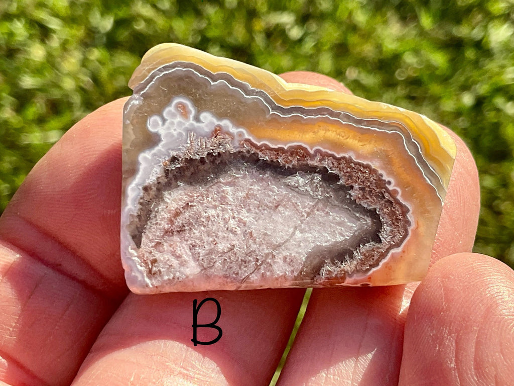 Mexican Crazy Lace Agate Thin Freeforms Group 3