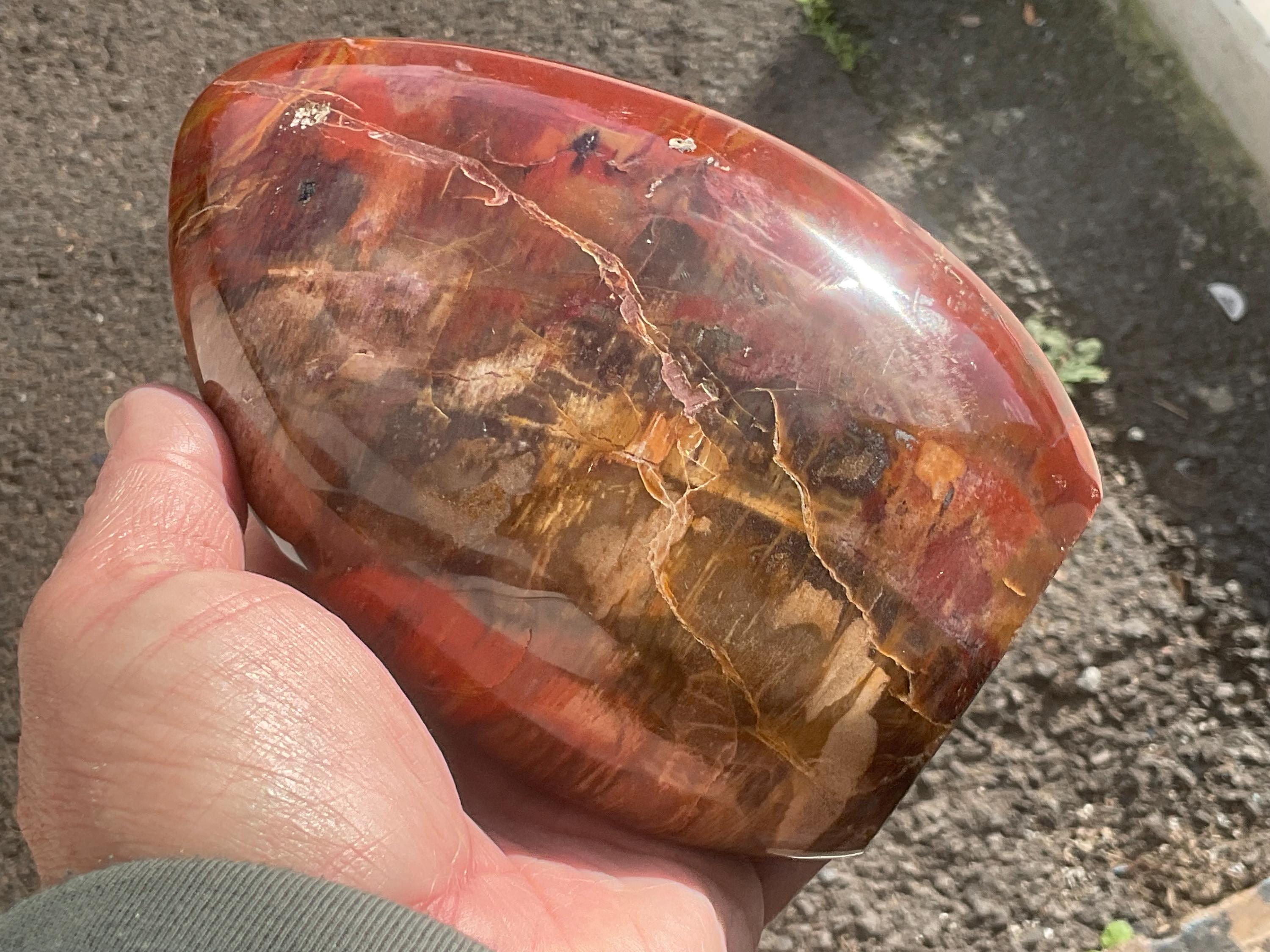 1.5kg Red Petrified Wood Freeform from Madagascar