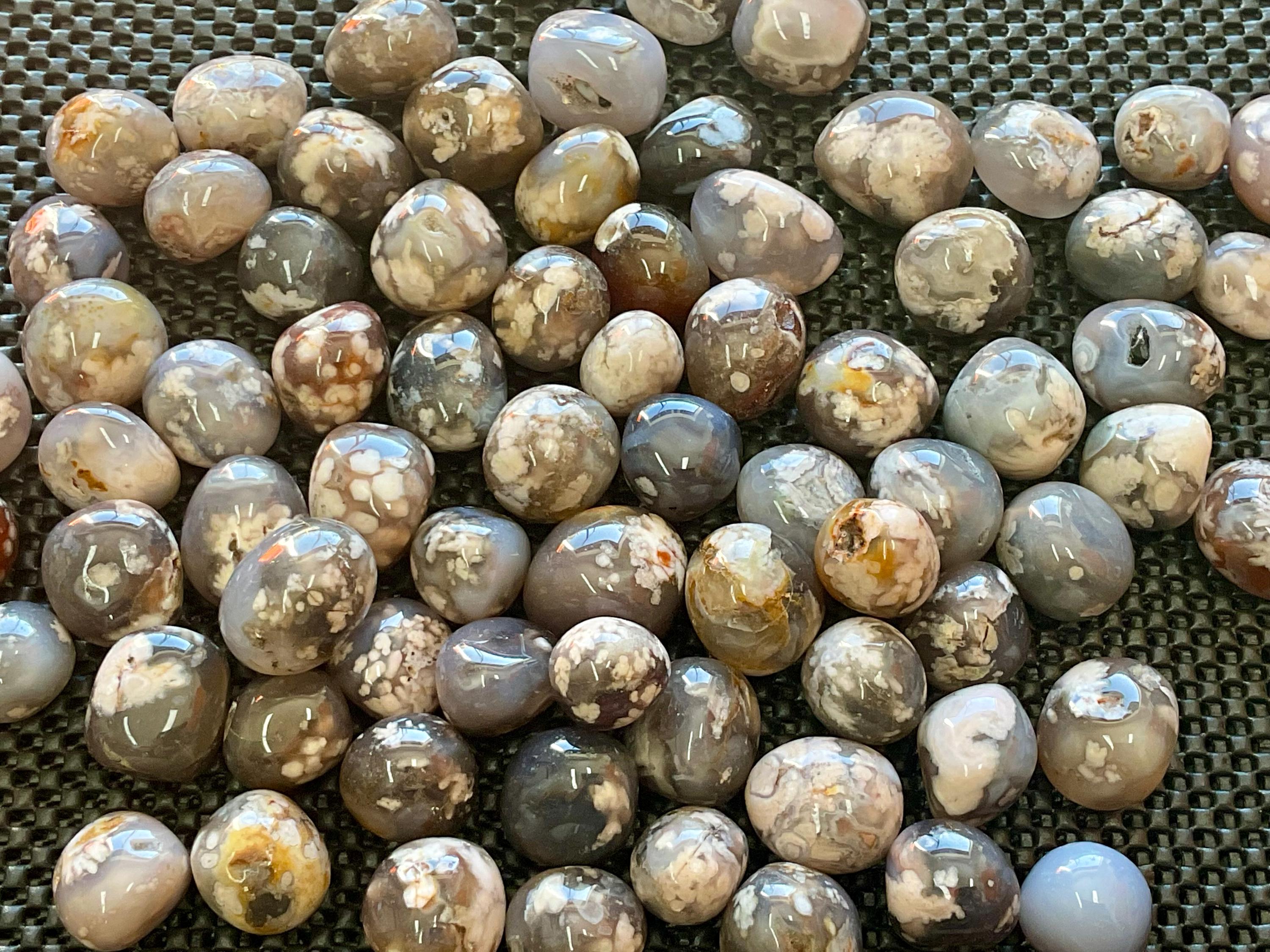 Black Flower Agate Tumbles