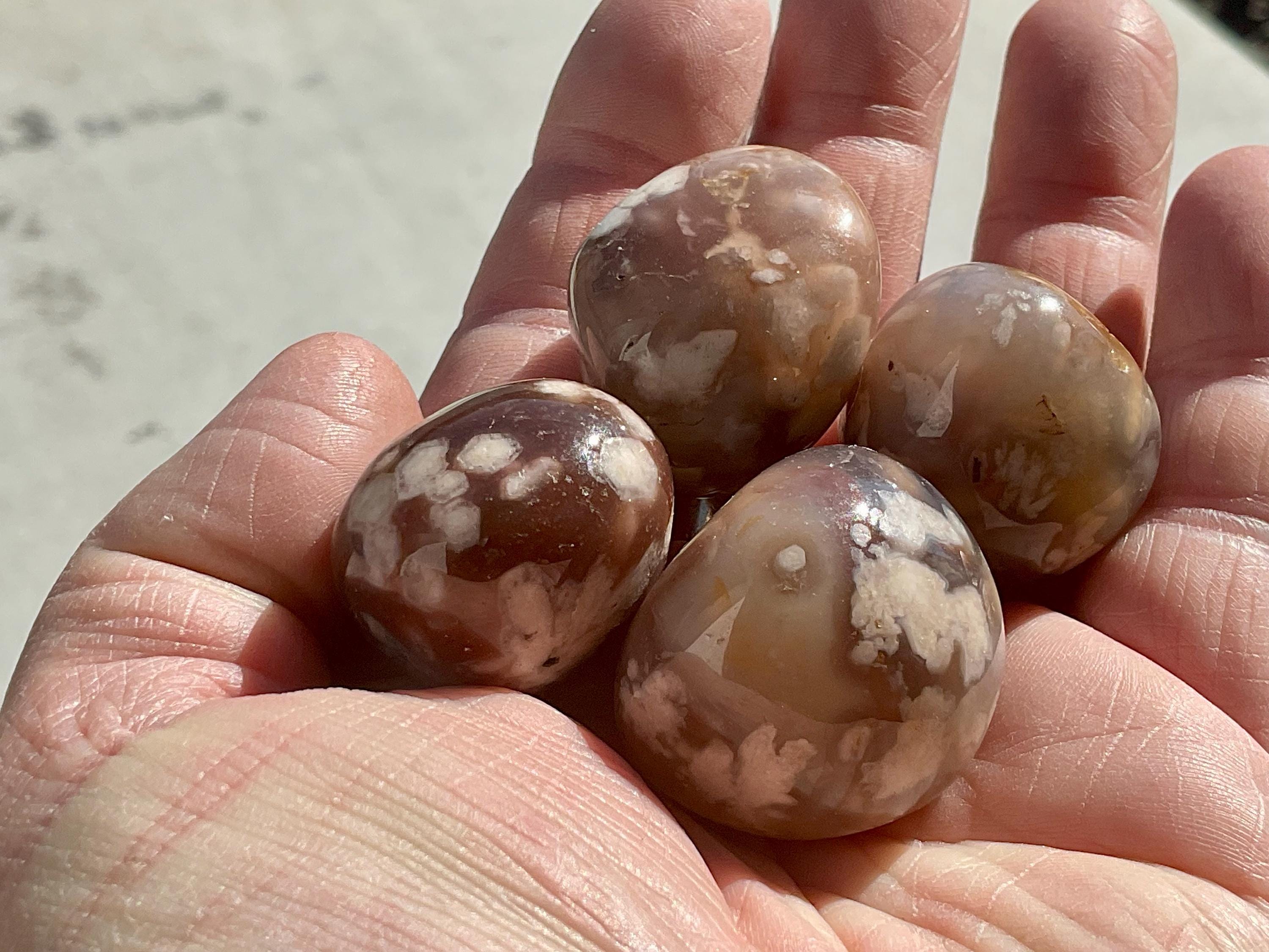Black Flower Agate Tumbles